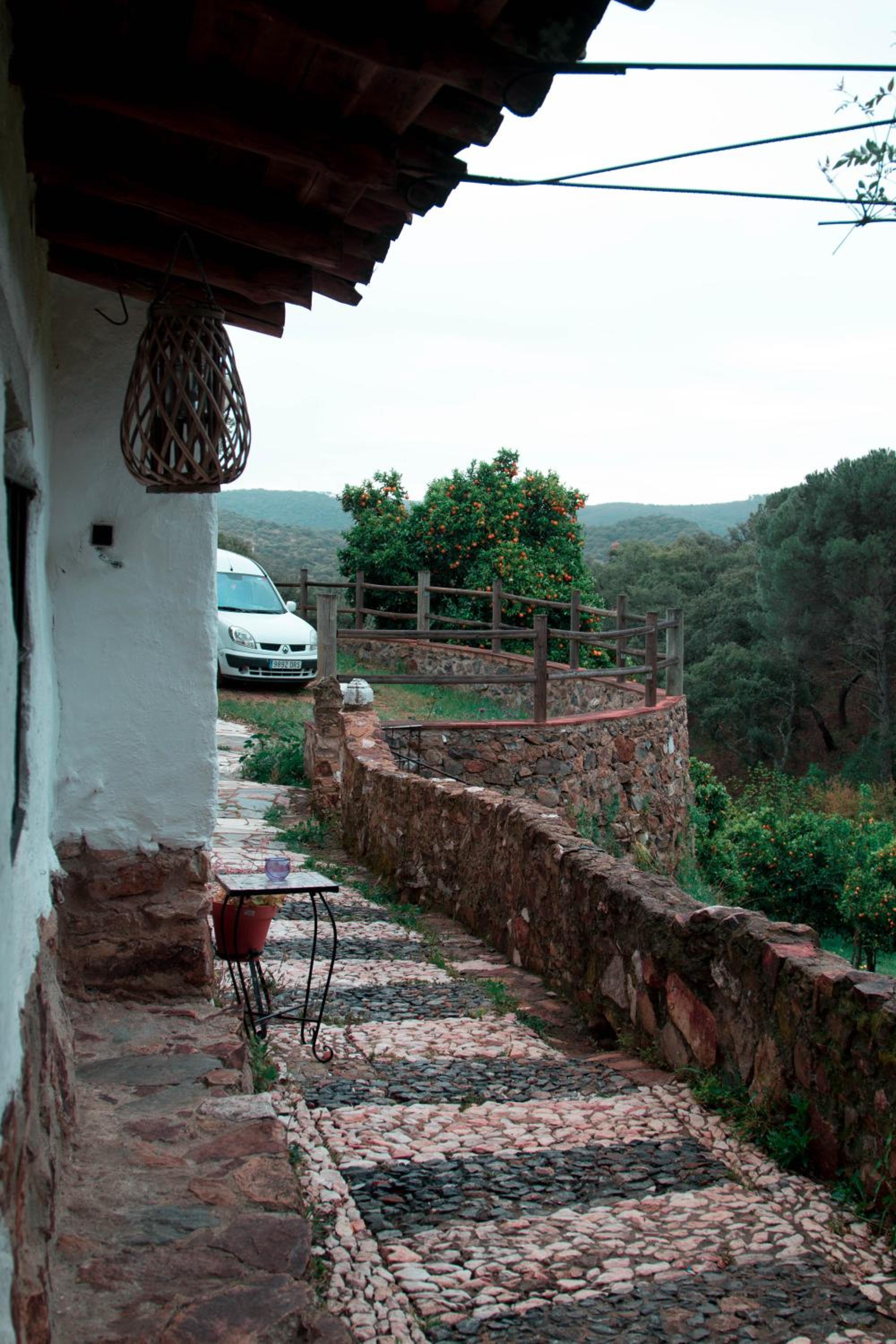 Photo 20