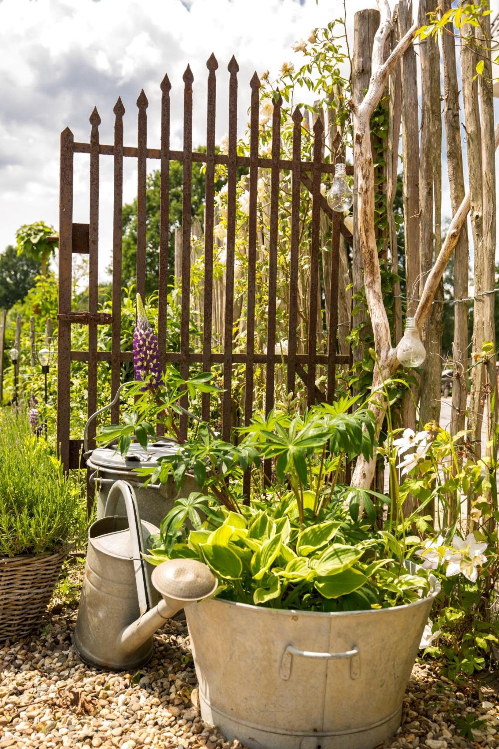 Landelijk logeren bij De Witte Kip - Property Image 11