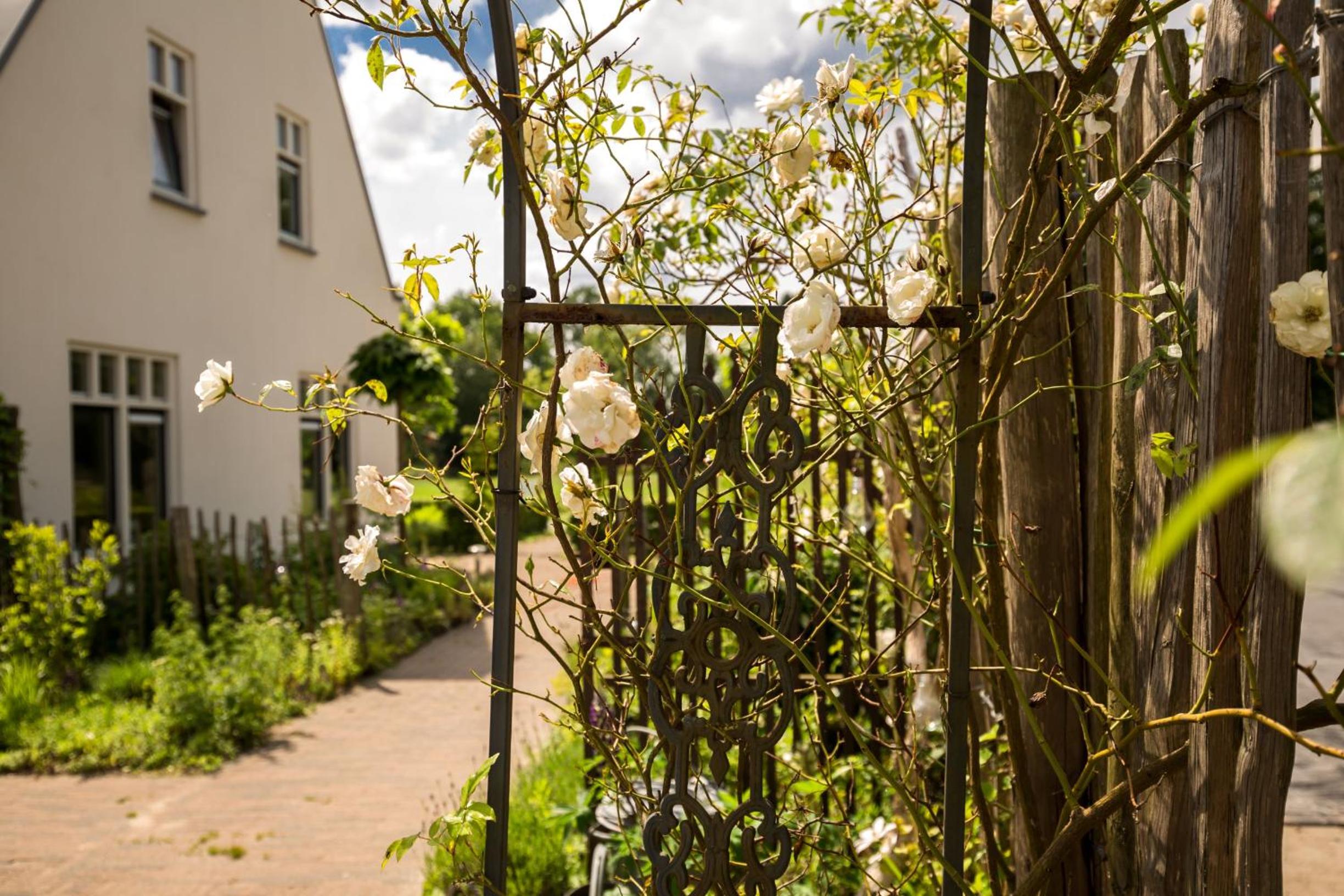 Landelijk logeren bij De Witte Kip - Property Image 20