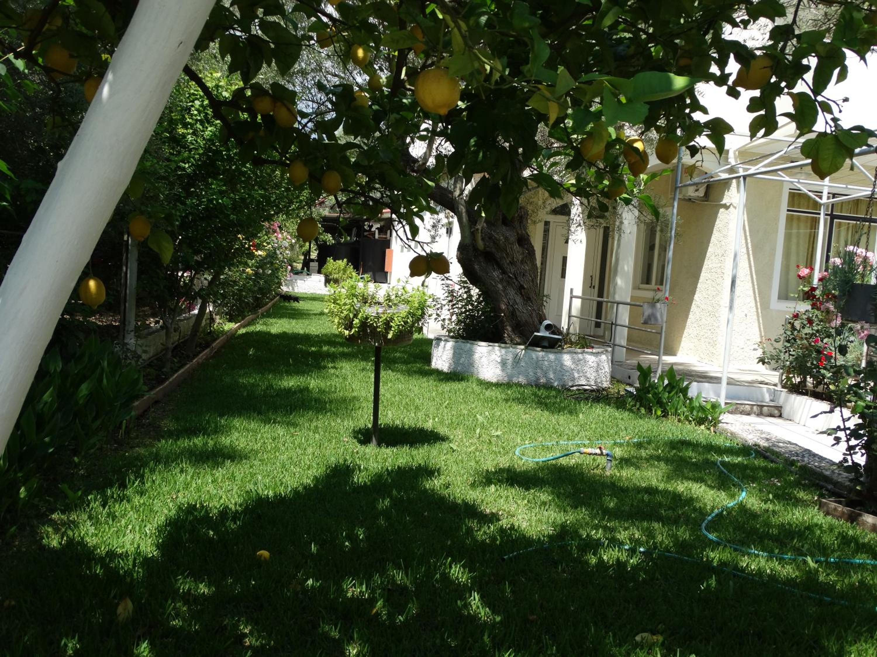 MARGARITA APARTMENTS