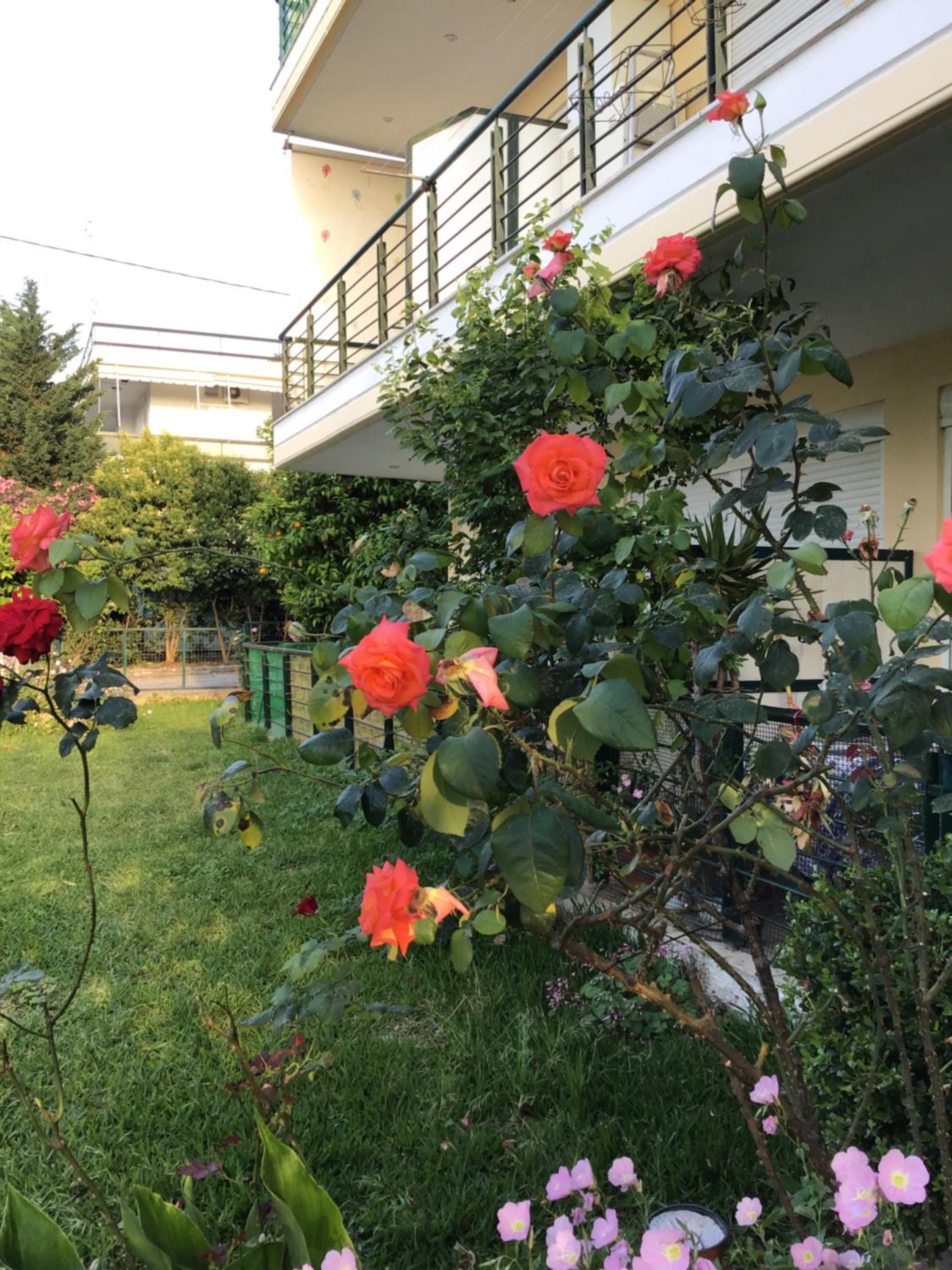 Photo 33