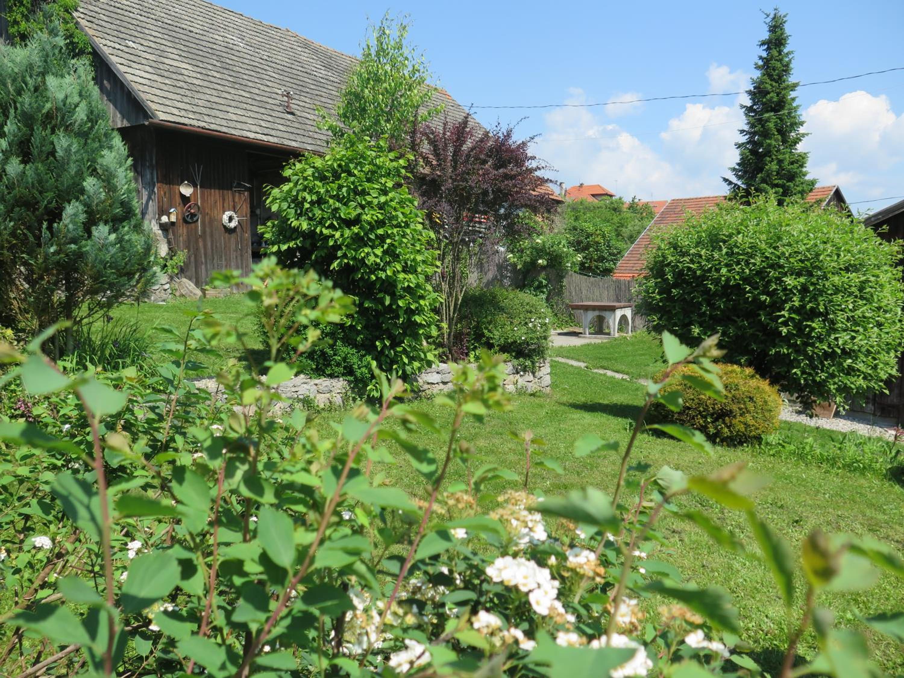Photo 14