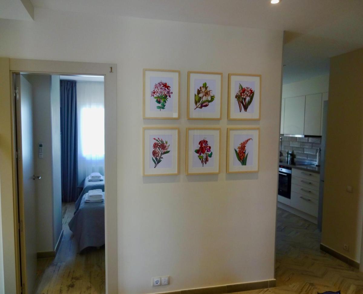 Cinema Duplex view 5