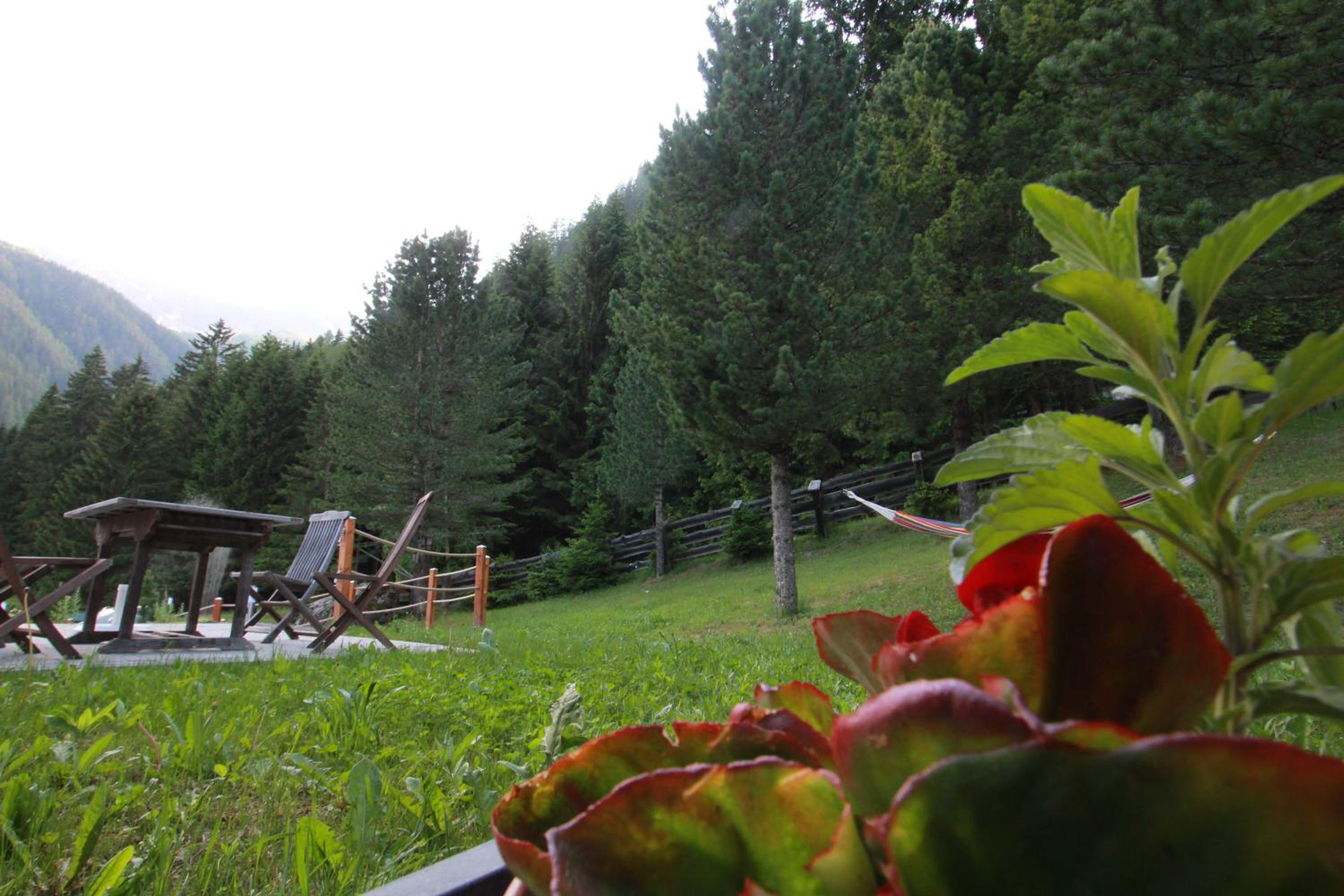 Photo 40