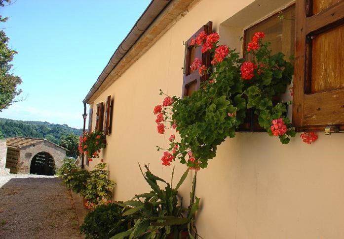 Fattoria Casanova