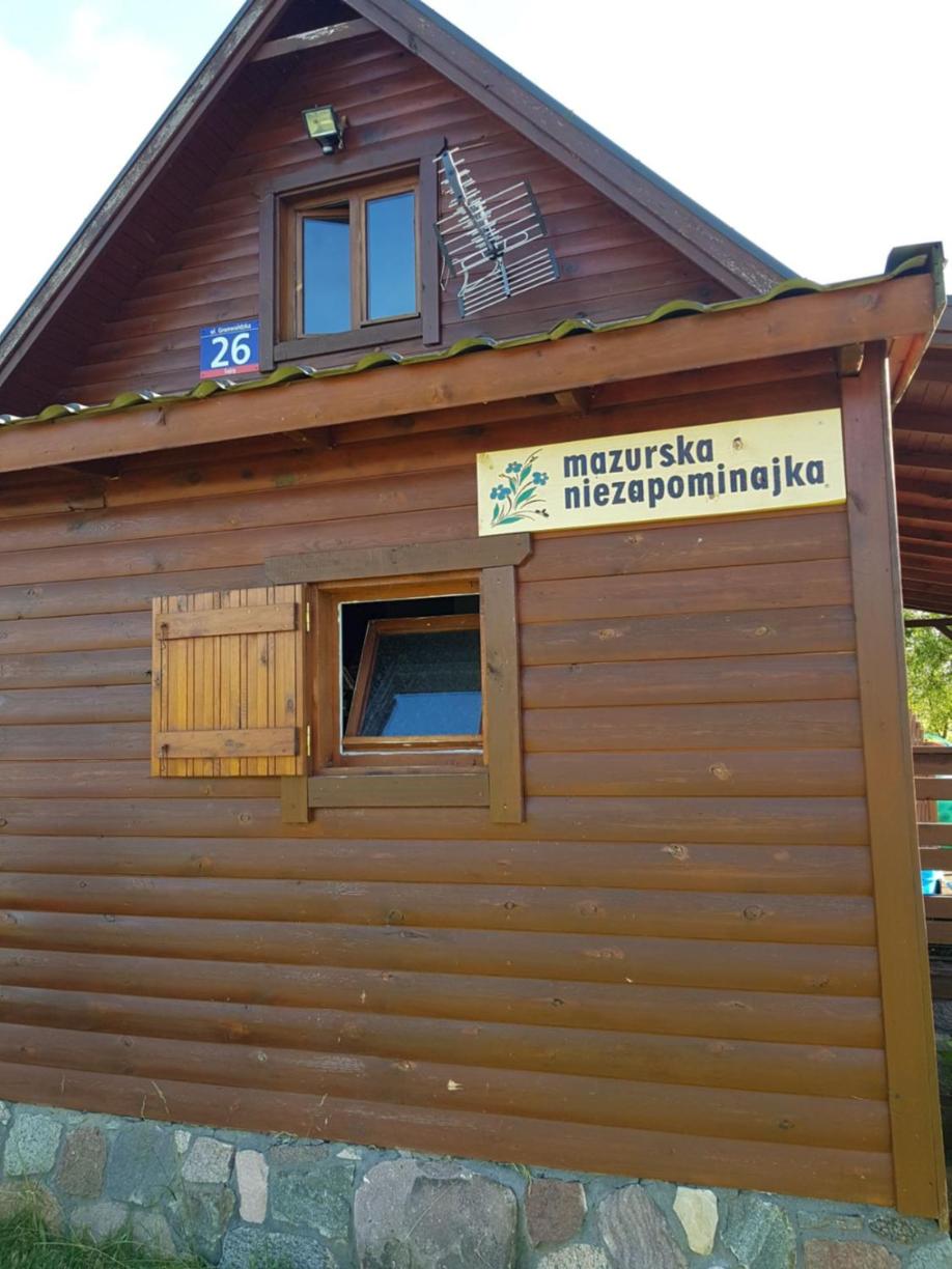 Mazurska Niezapominajka view 3