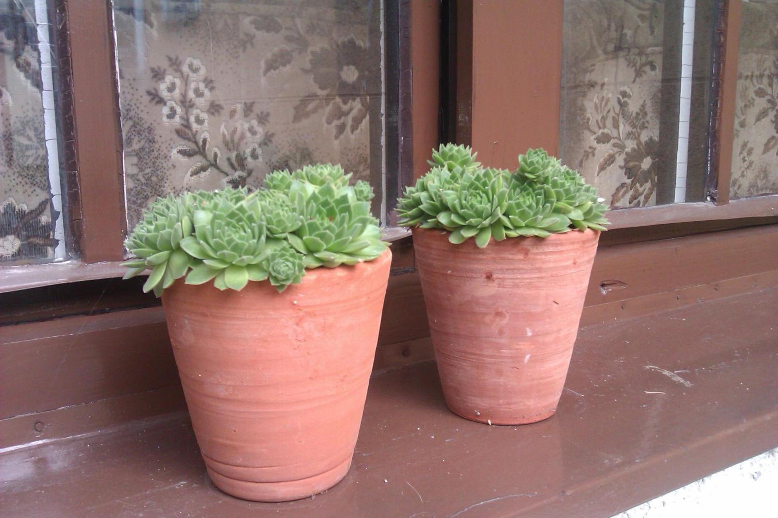 Photo 49
