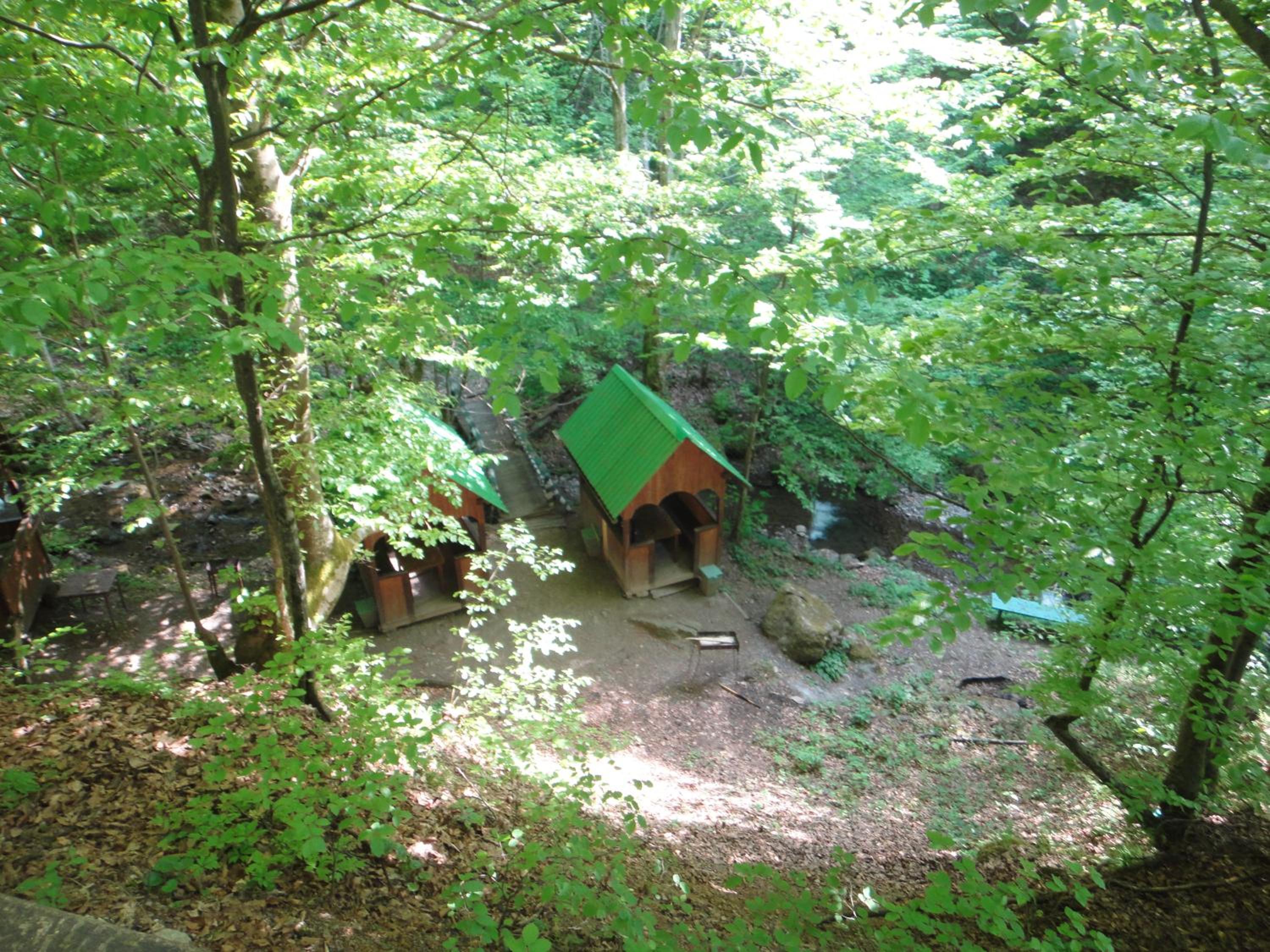 Kvasnyi