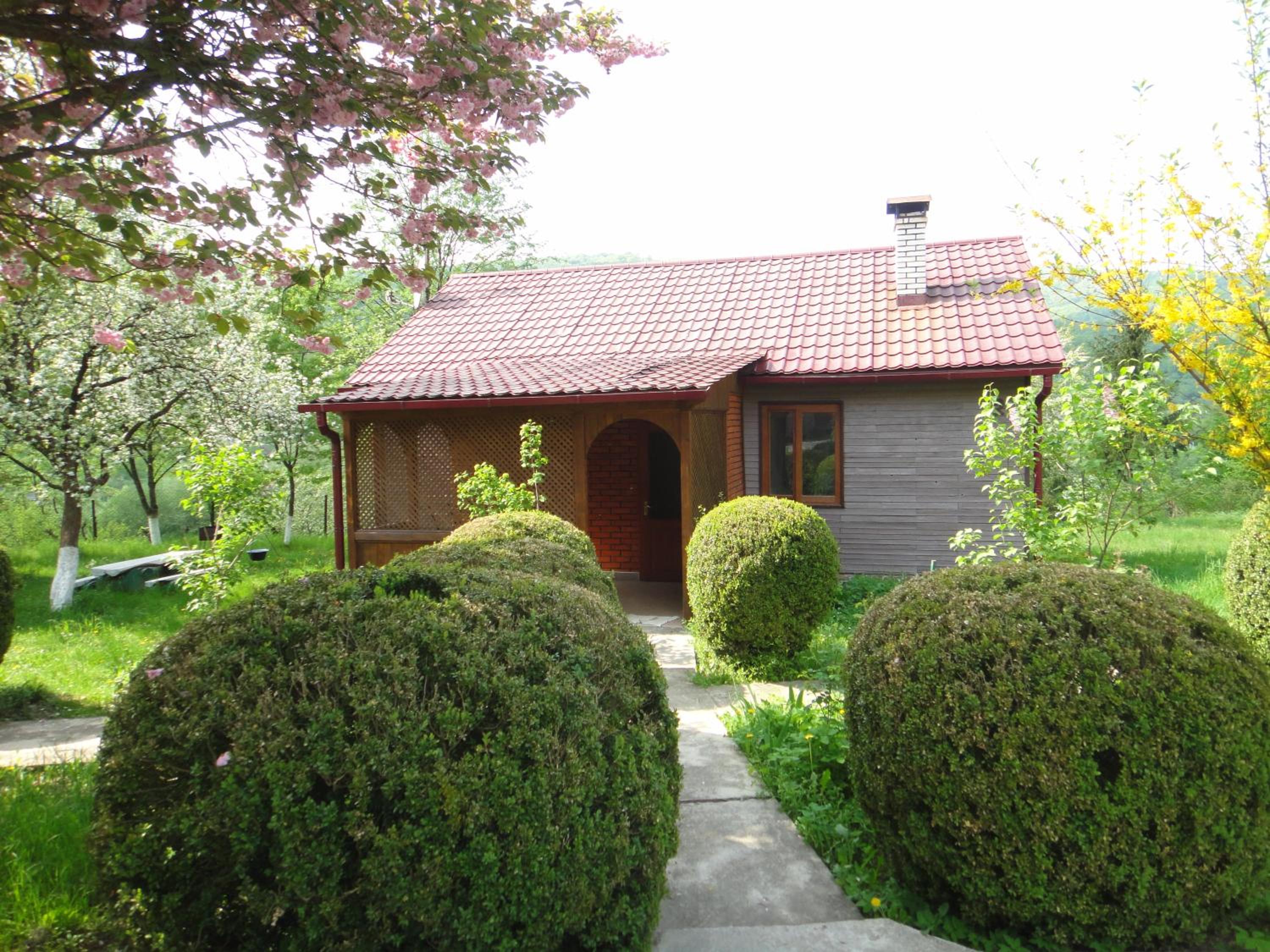 Kvasnyi