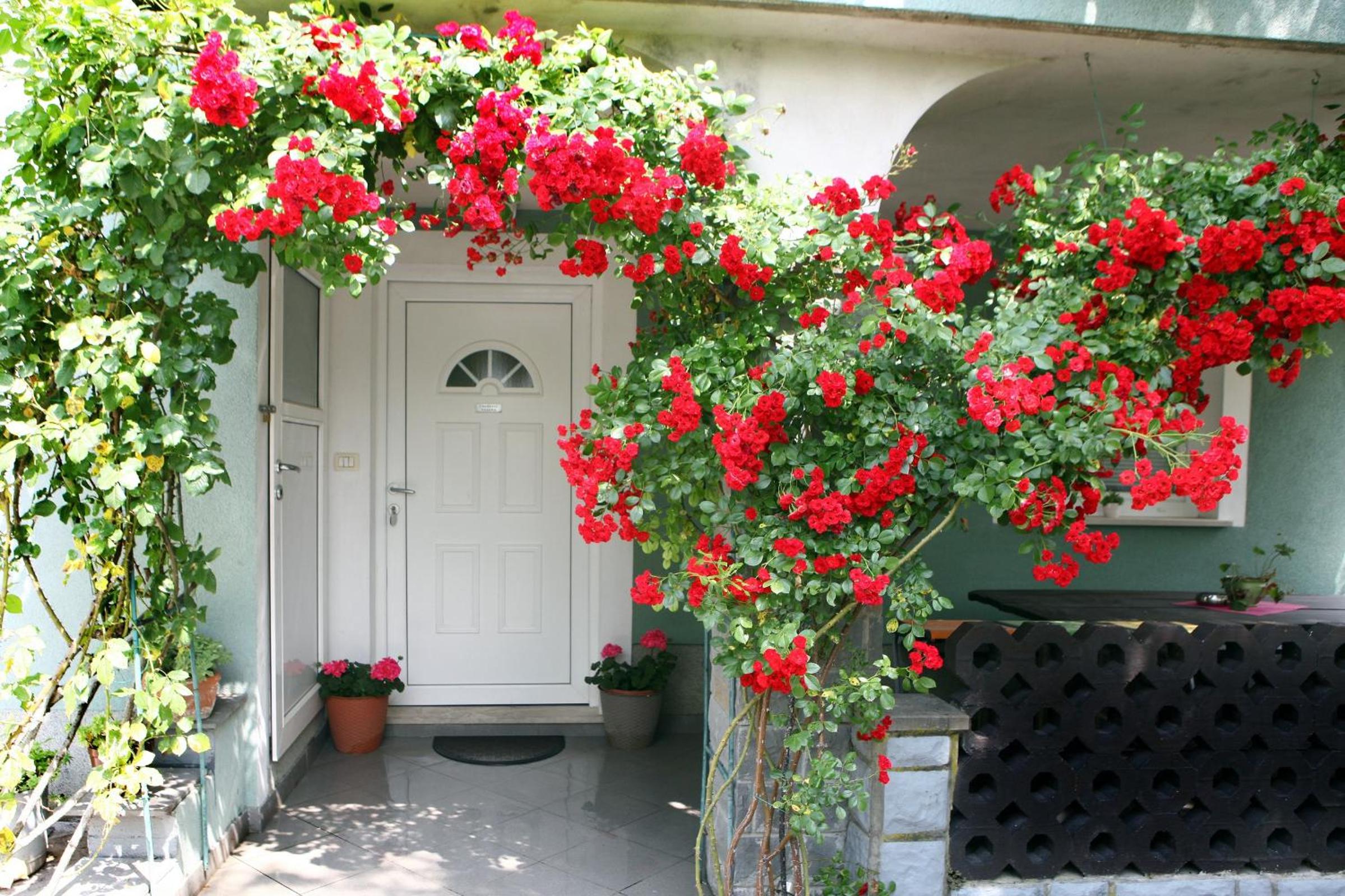 Hotel Green Place Portoroz RC - Image 1