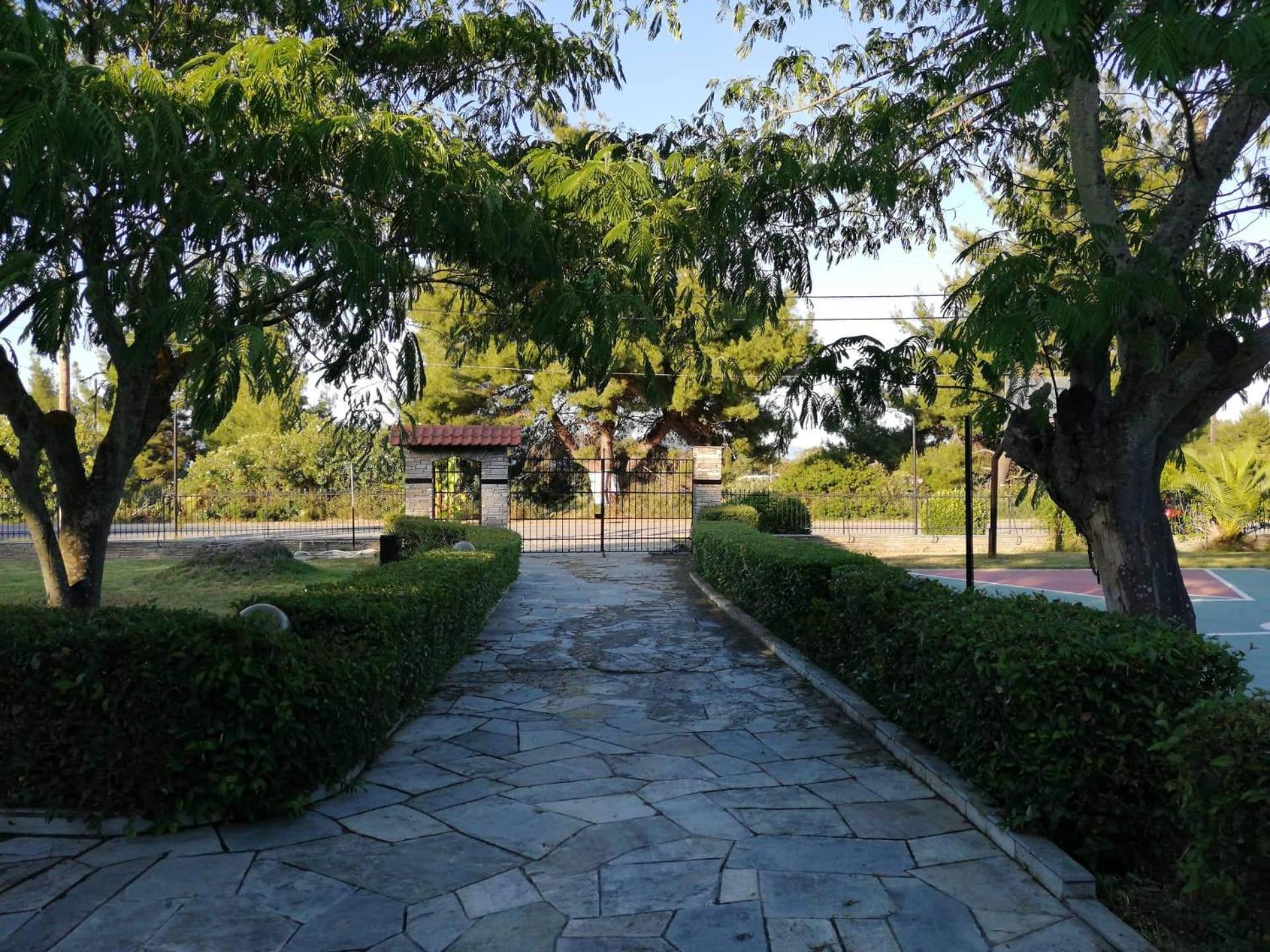 Photo 27