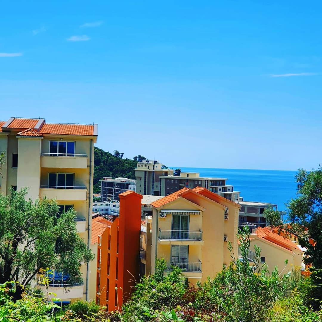 Panorama Petrovac