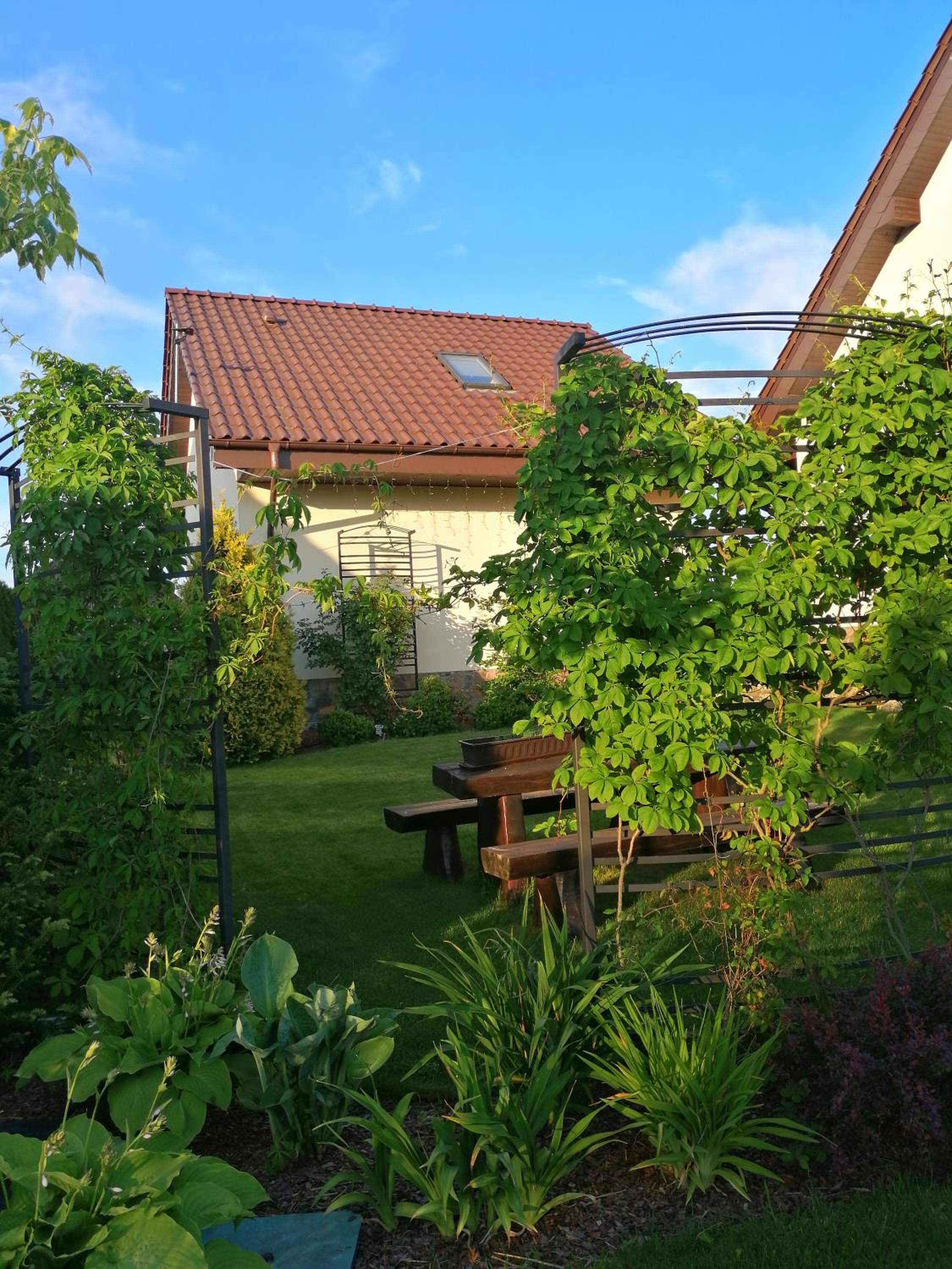 Photo 39