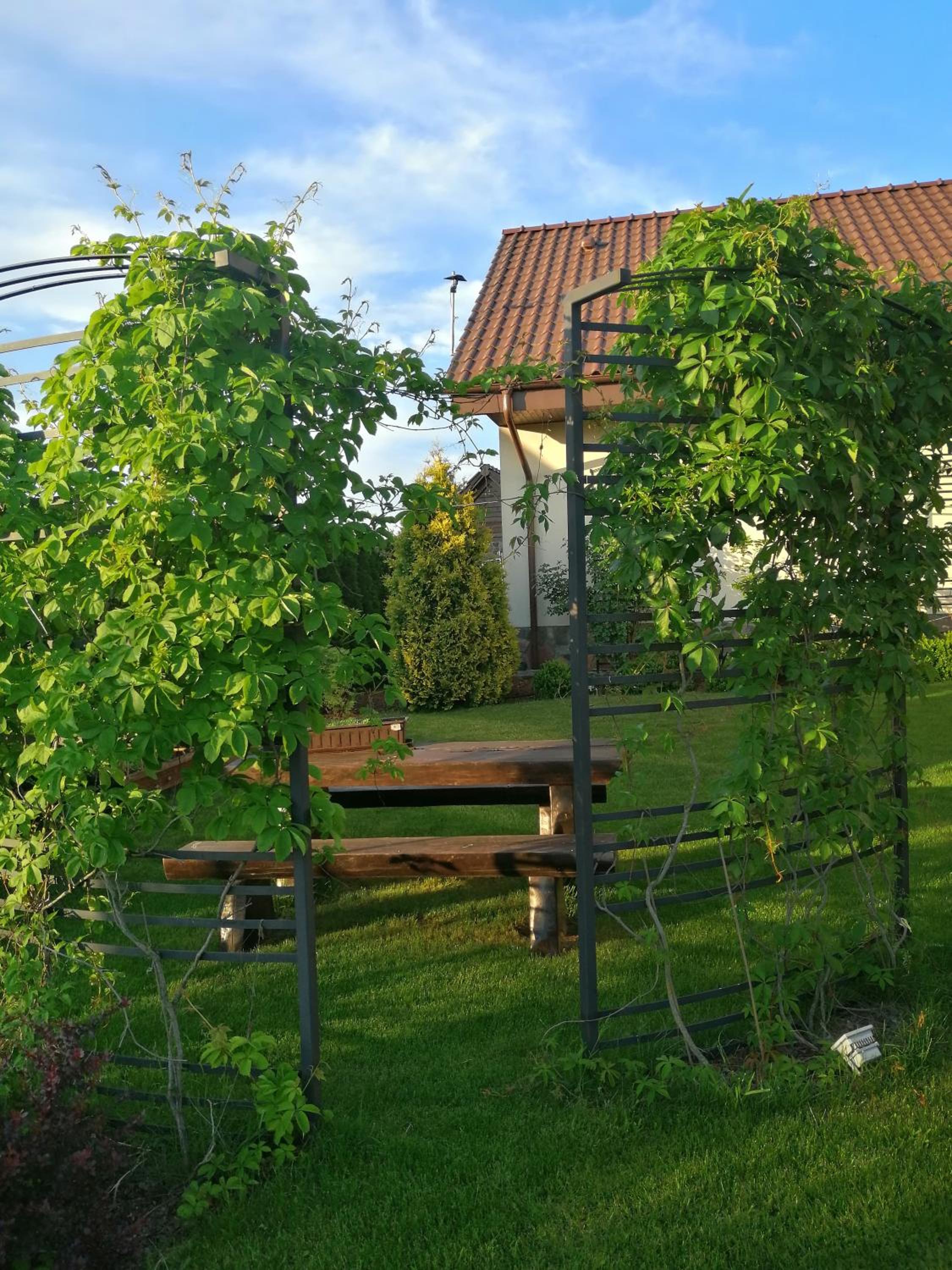 Photo 46