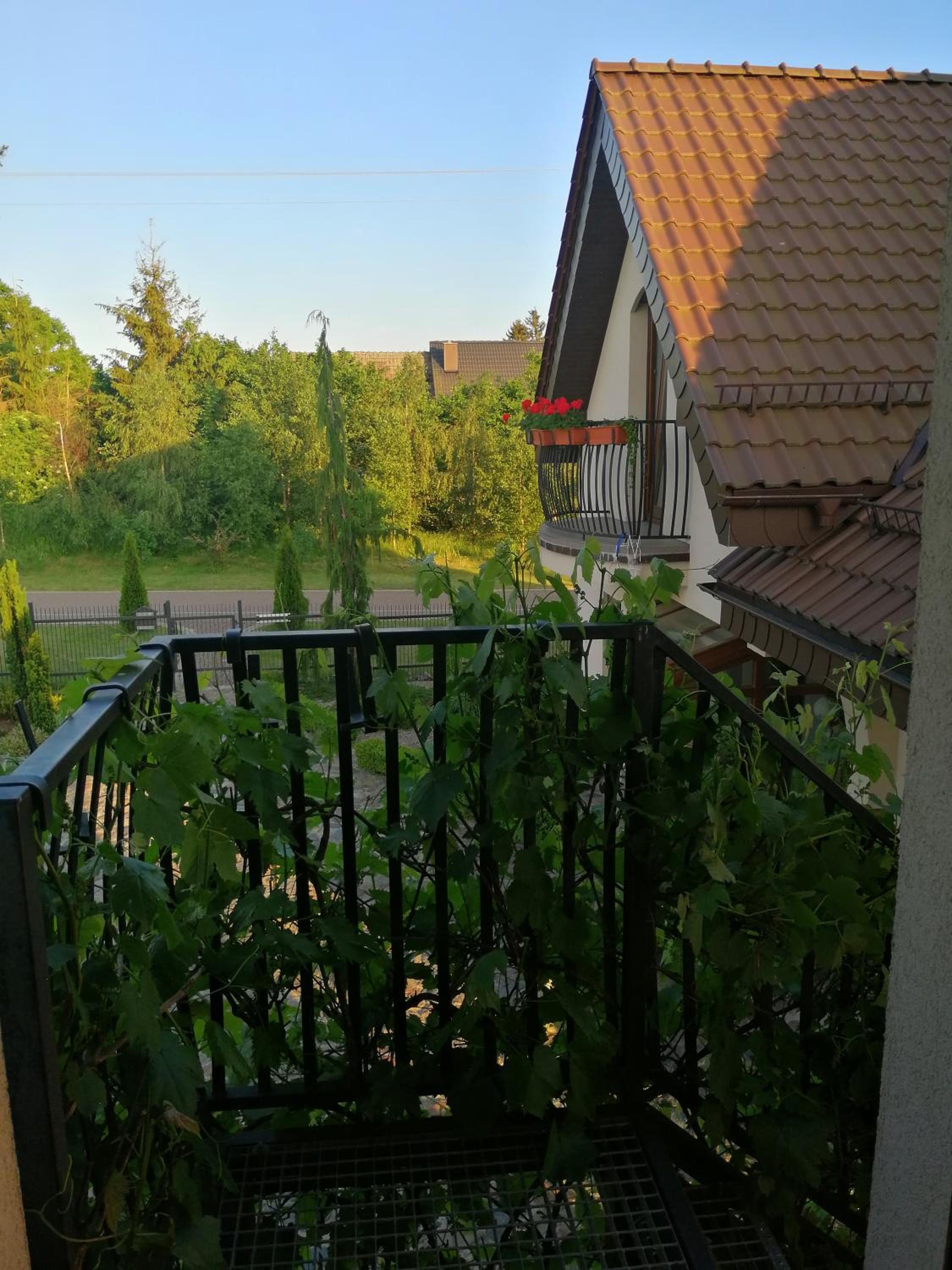 Photo 40