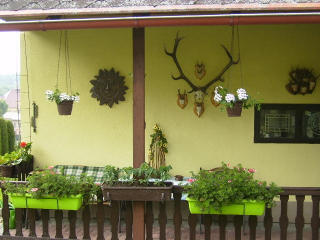 Photo 39