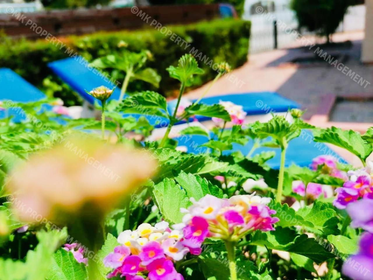 Hotel Merika Complex 1 Hou.32 - Image 1