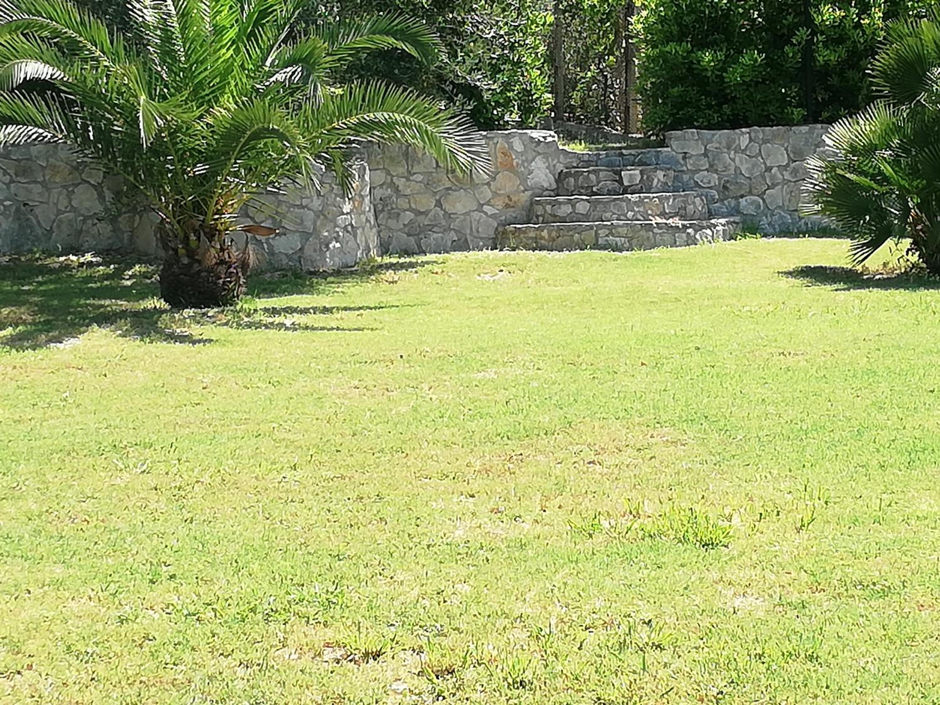 Photo 37