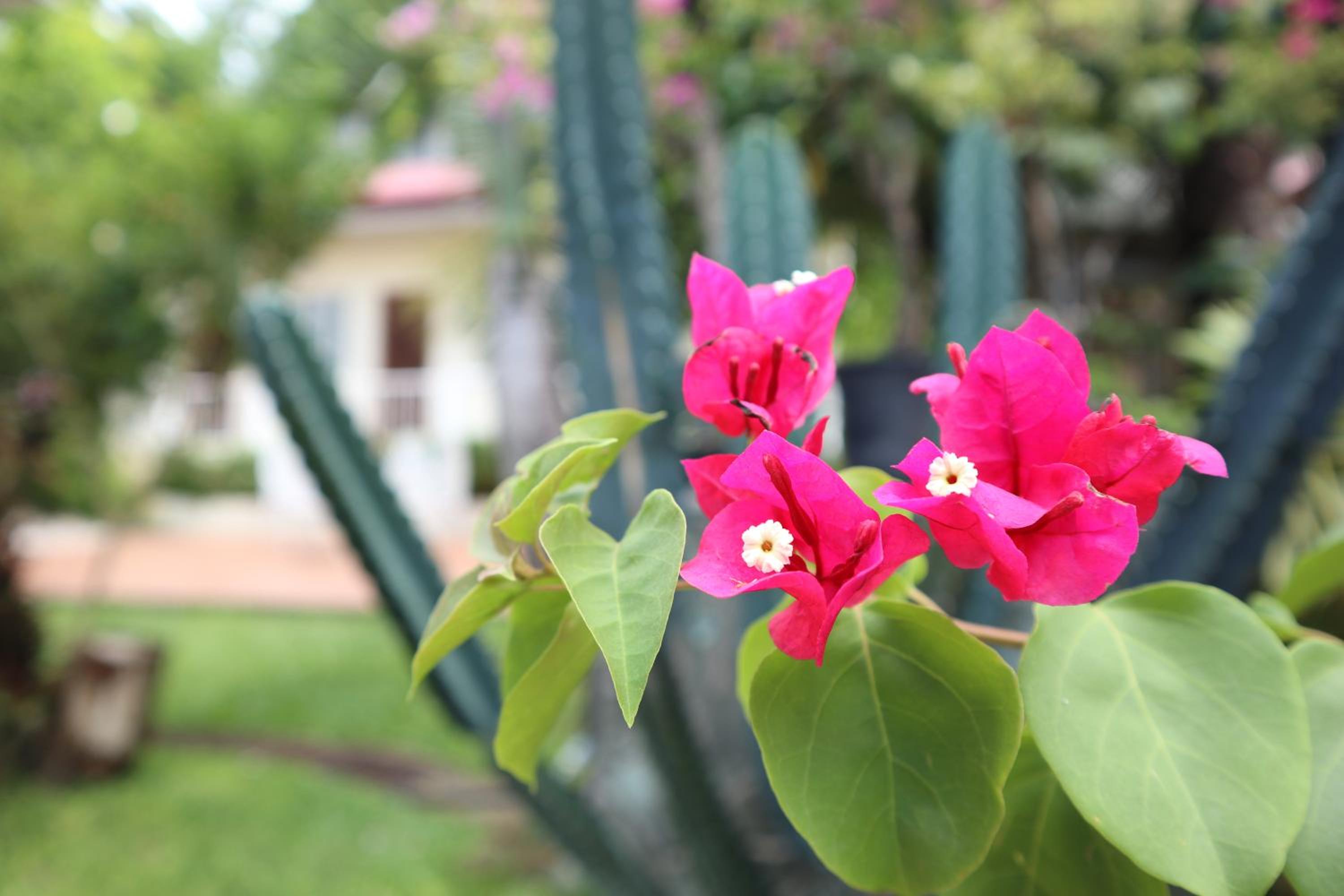 RQS Hostel, photo 59