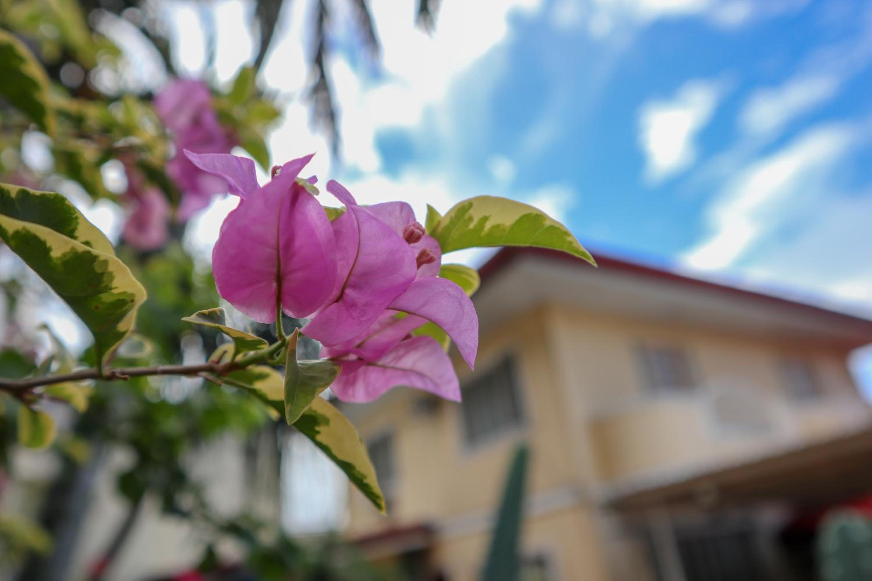 RQS Hostel, photo 63