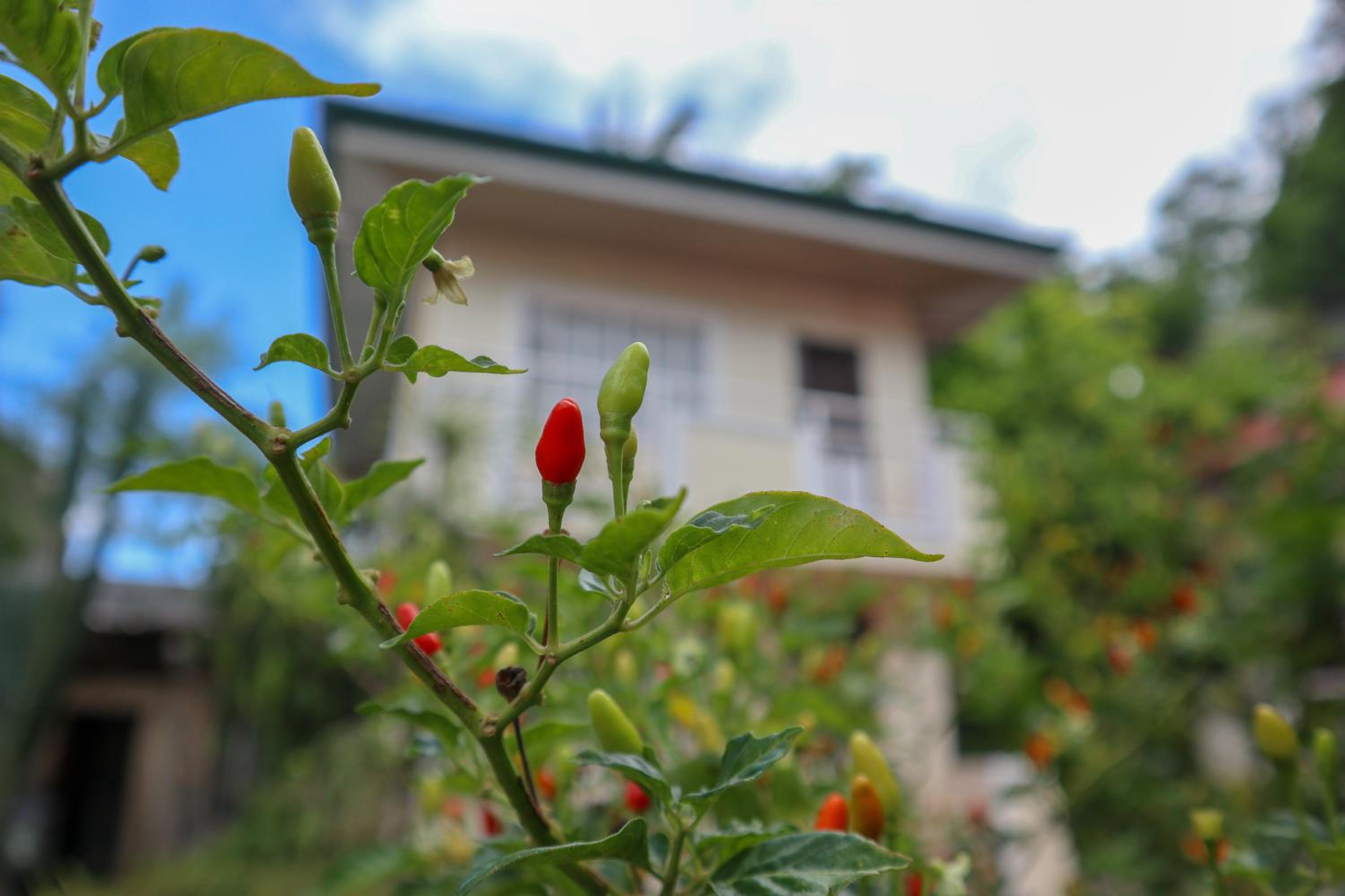 RQS Hostel, photo 27