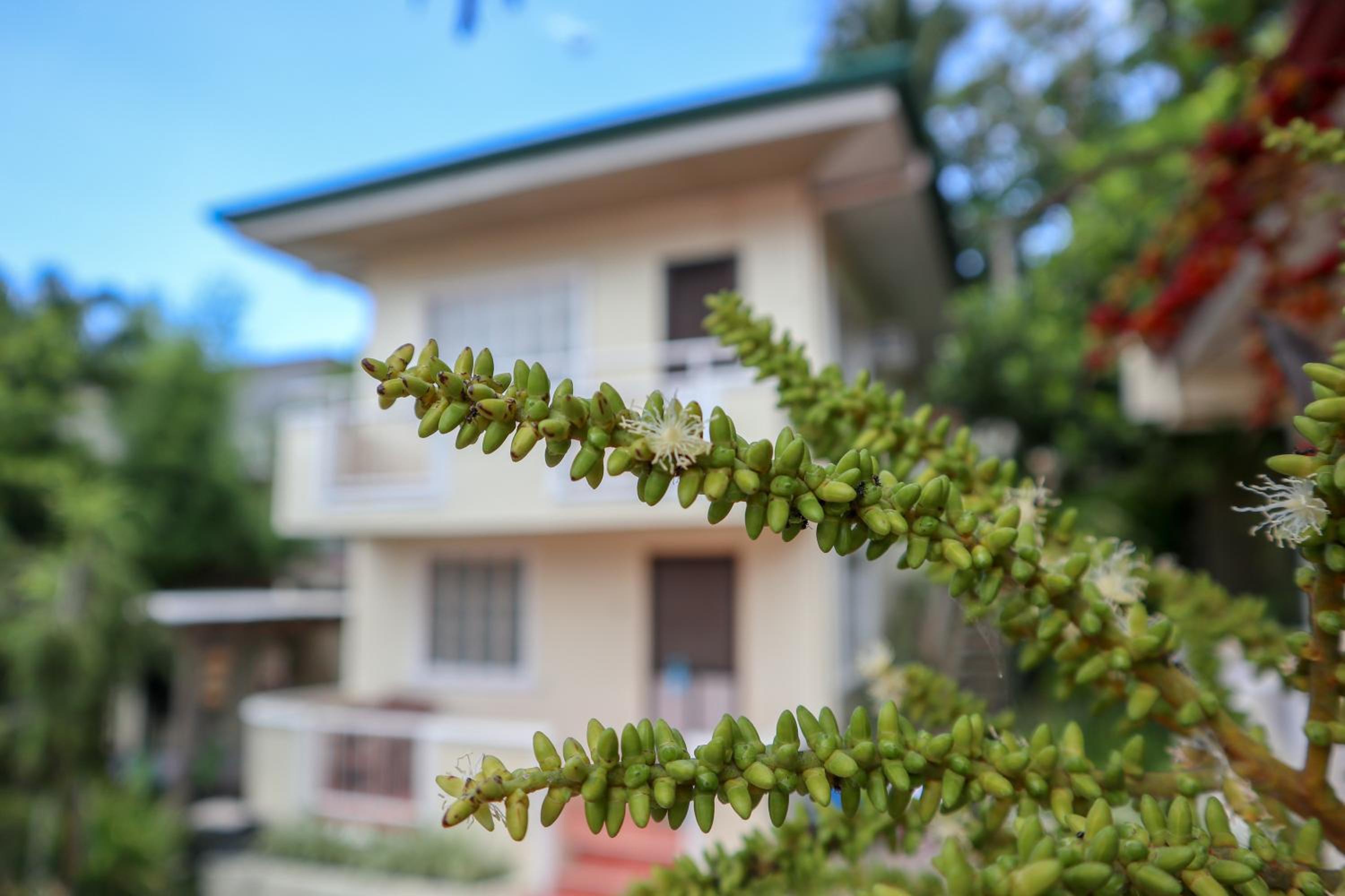 RQS Hostel, photo 36