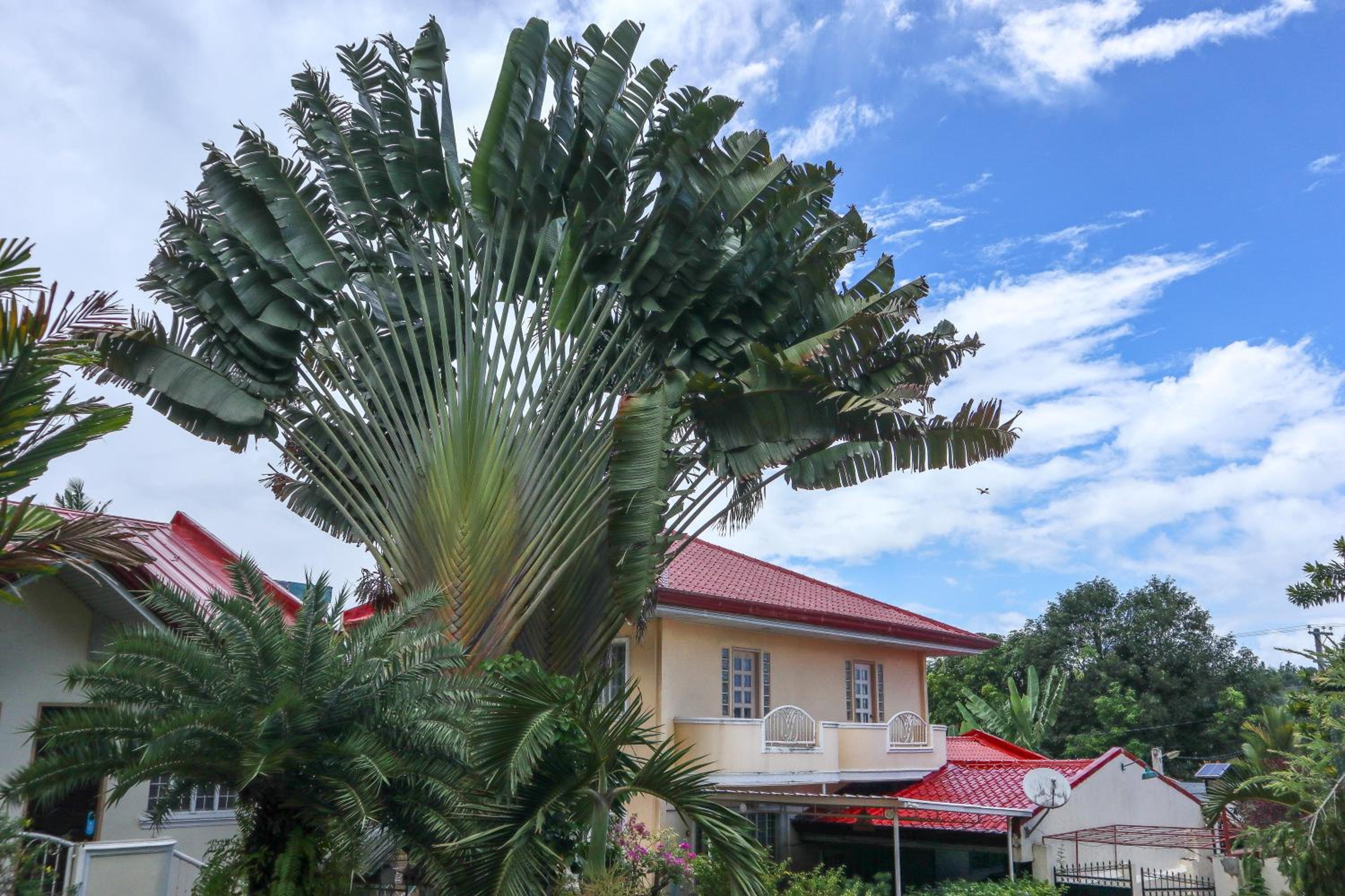 RQS Hostel, photo 81