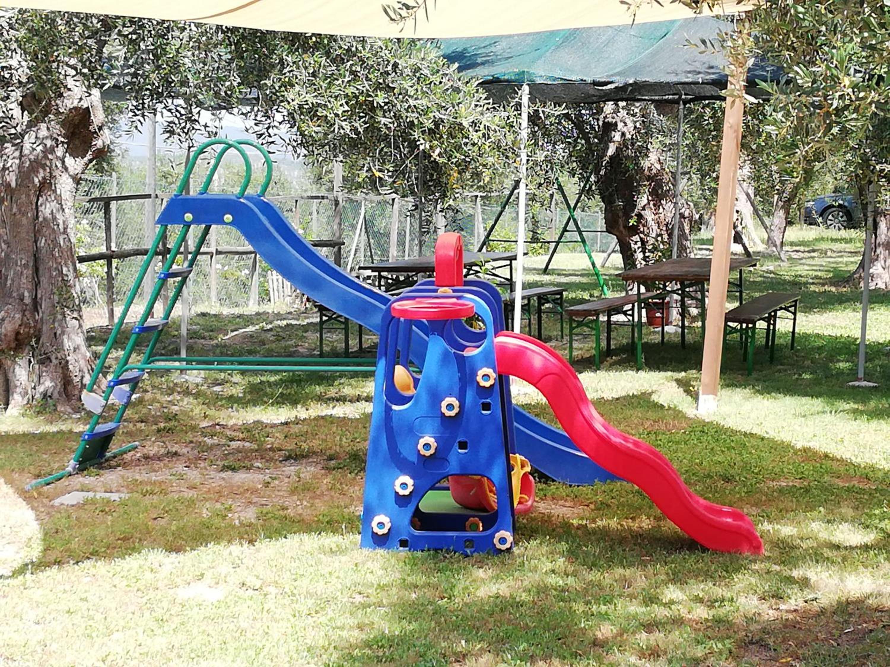 Photo 48