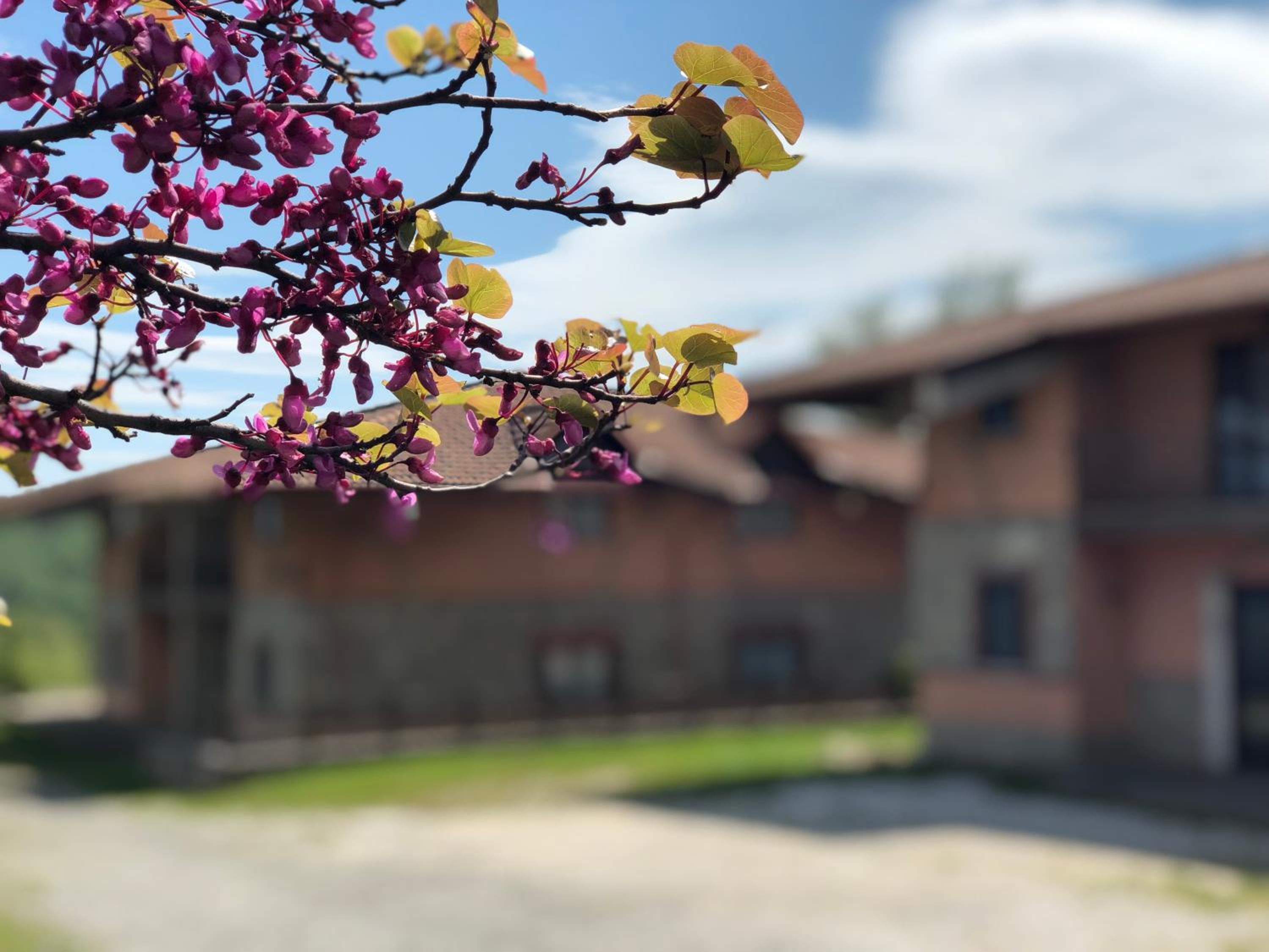 Hotel Pietrapanna - Image 1