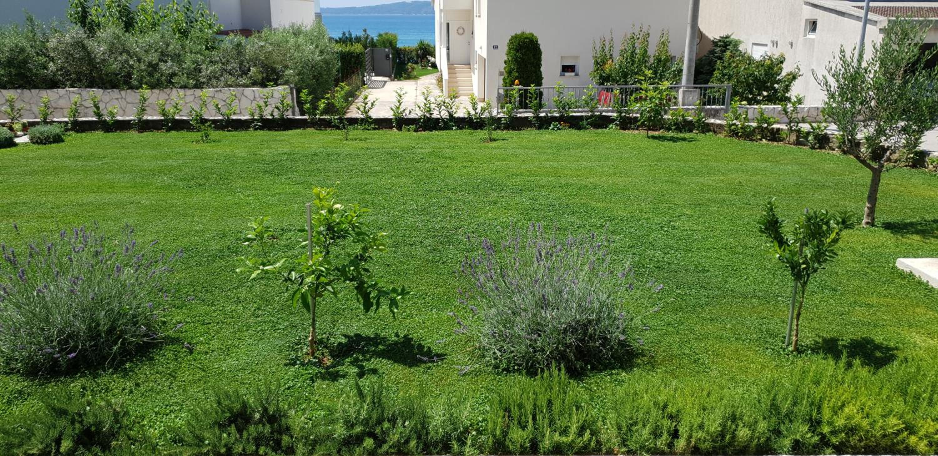 Photo 49