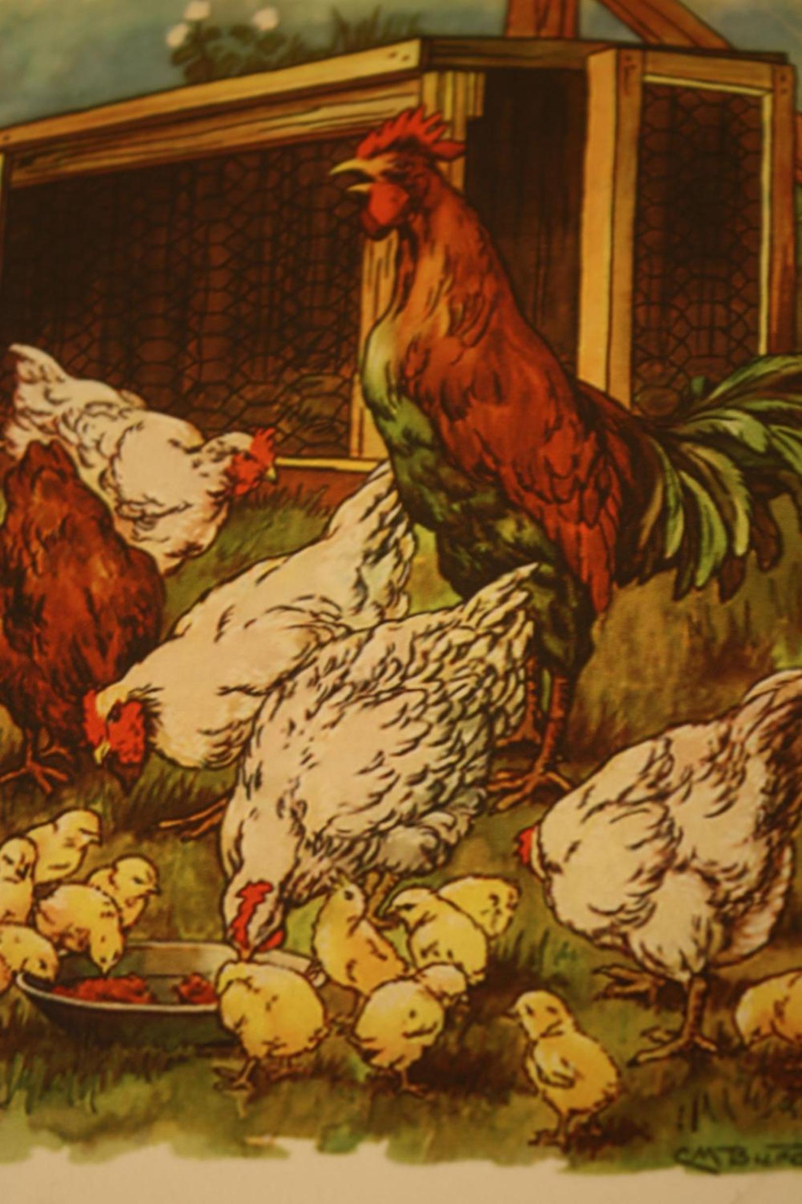 Landelijk logeren bij De Witte Kip - Property Image 26