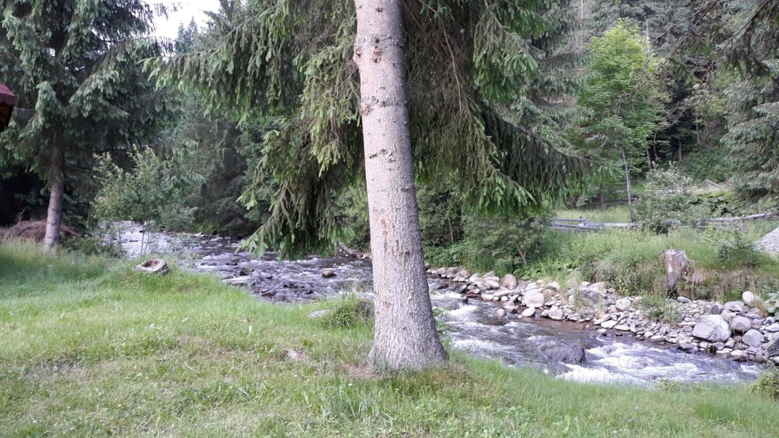 Photo 32
