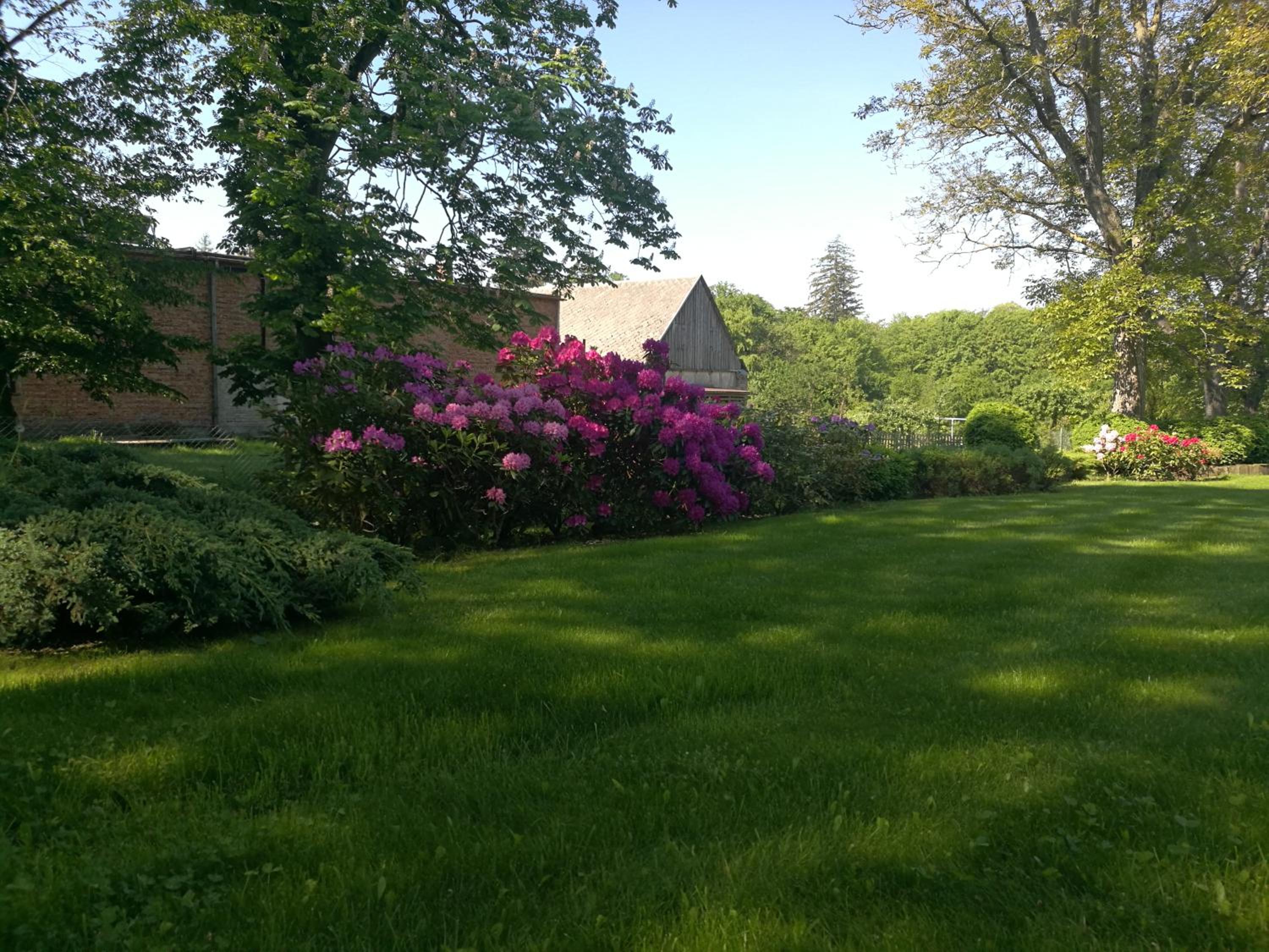 Photo 27