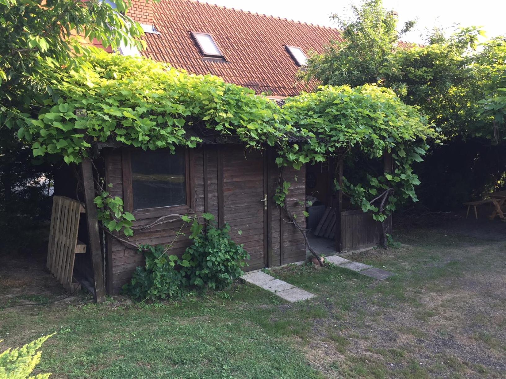 Photo 11