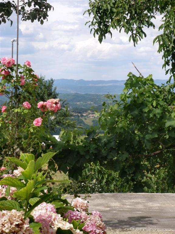 apartman Vojskovic view 4