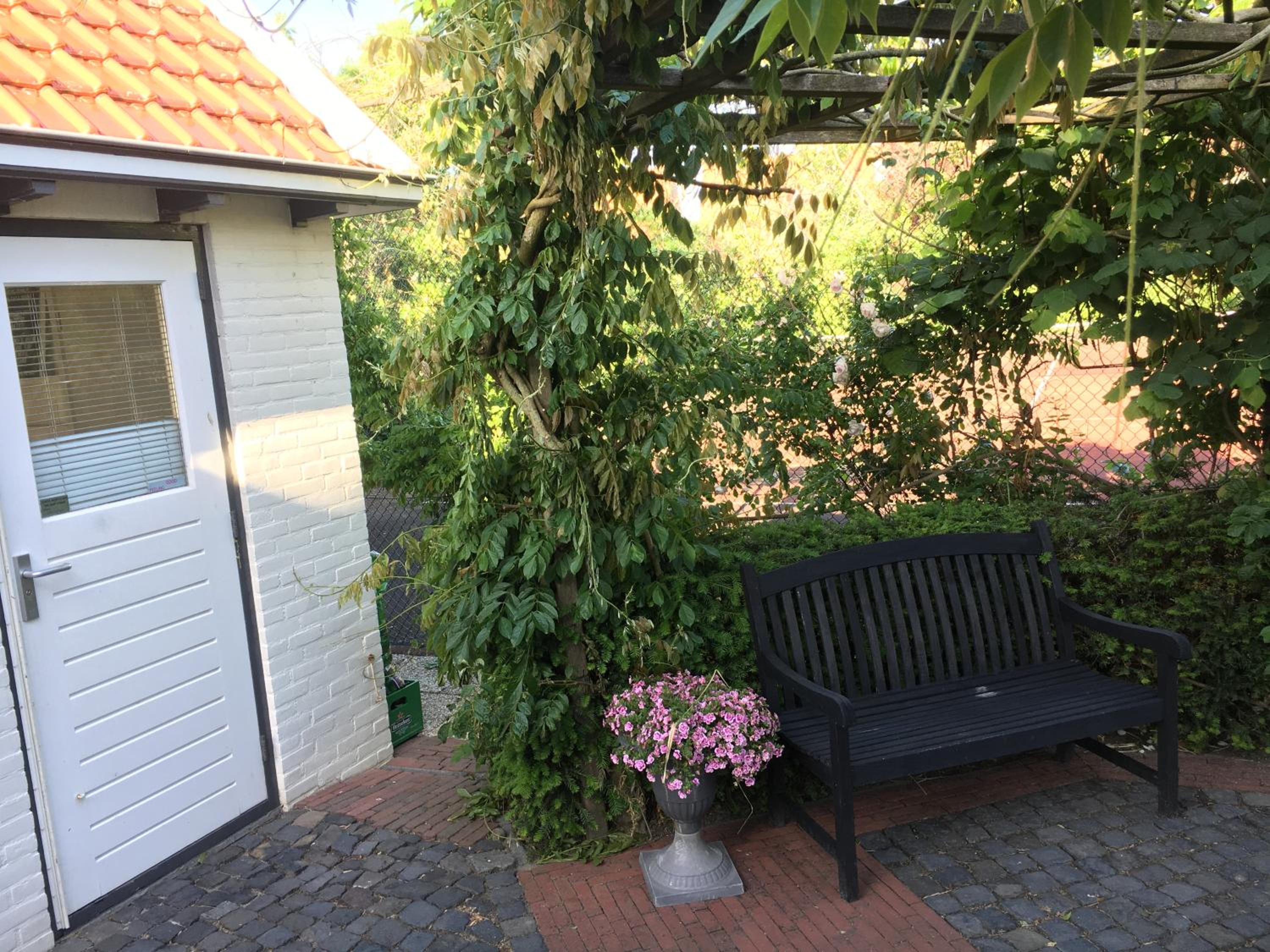 Photo 16