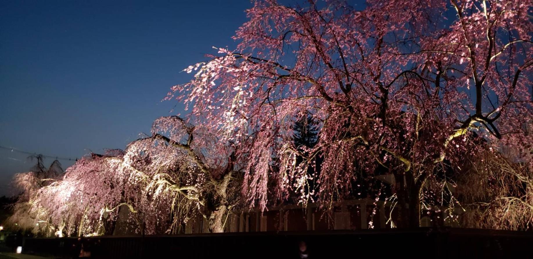Kakunodate Guesthouse Fuga, photo 19