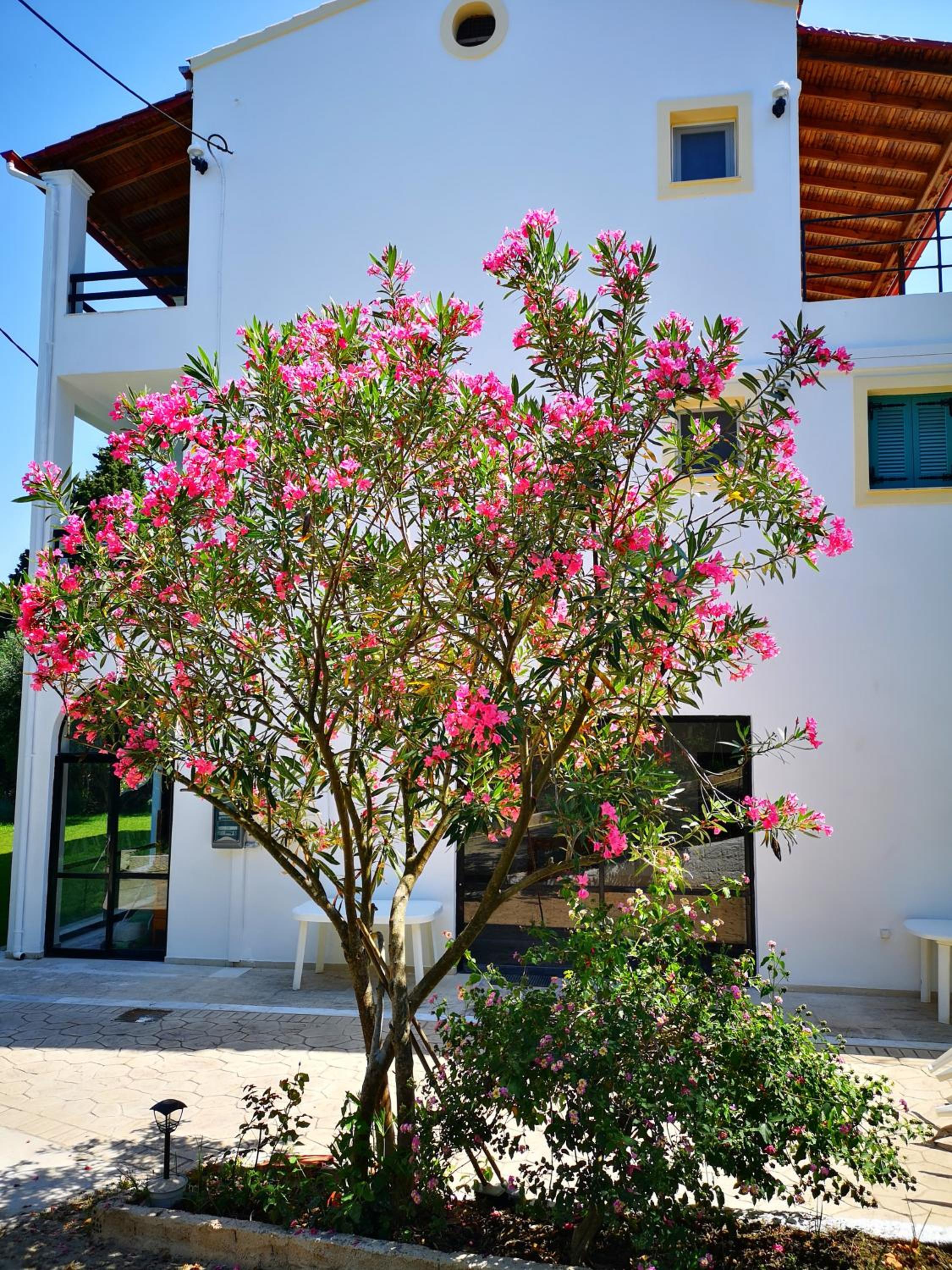 Nikoli Apartments