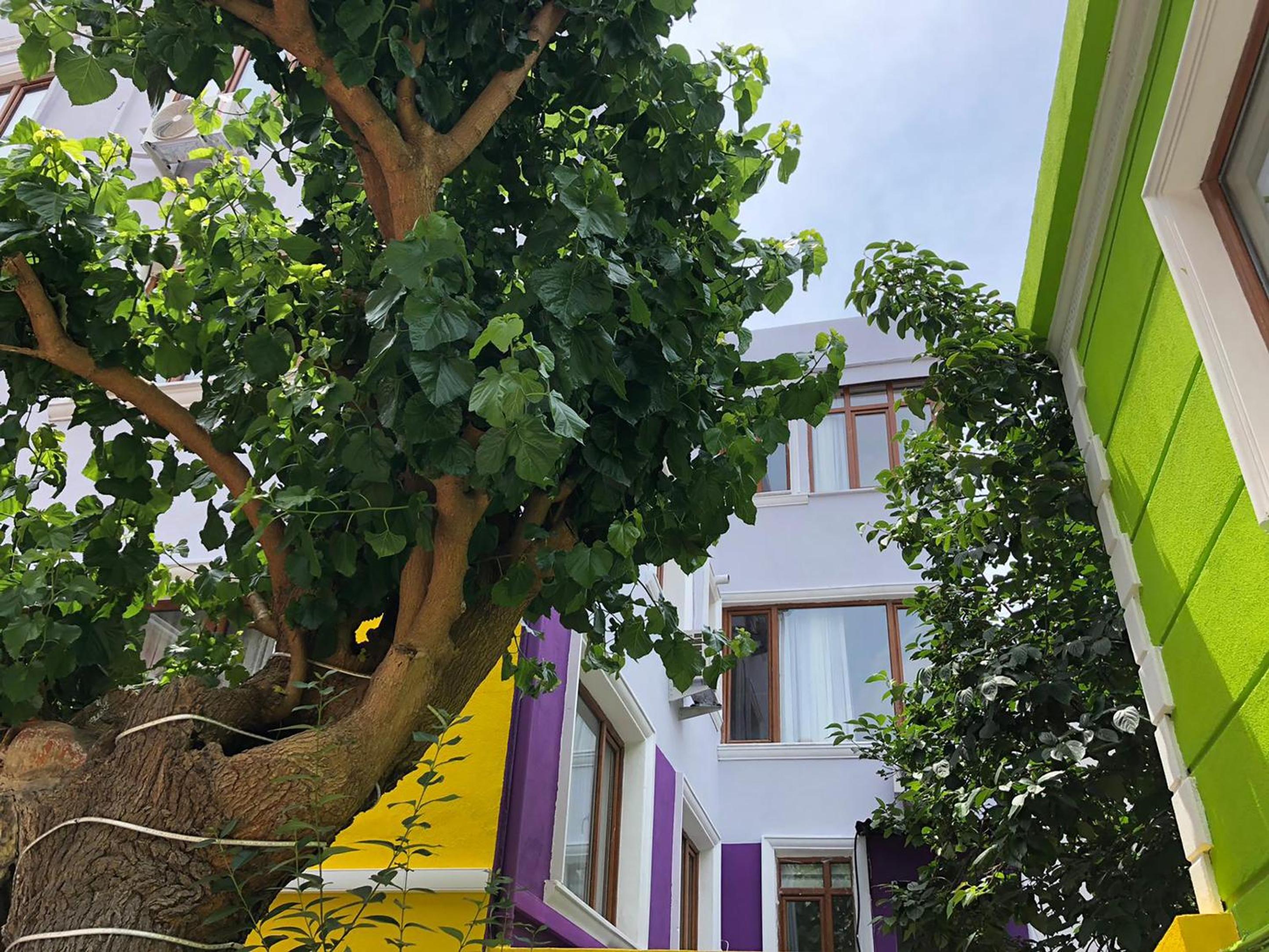 The Zanadu İstanbul - Image 22