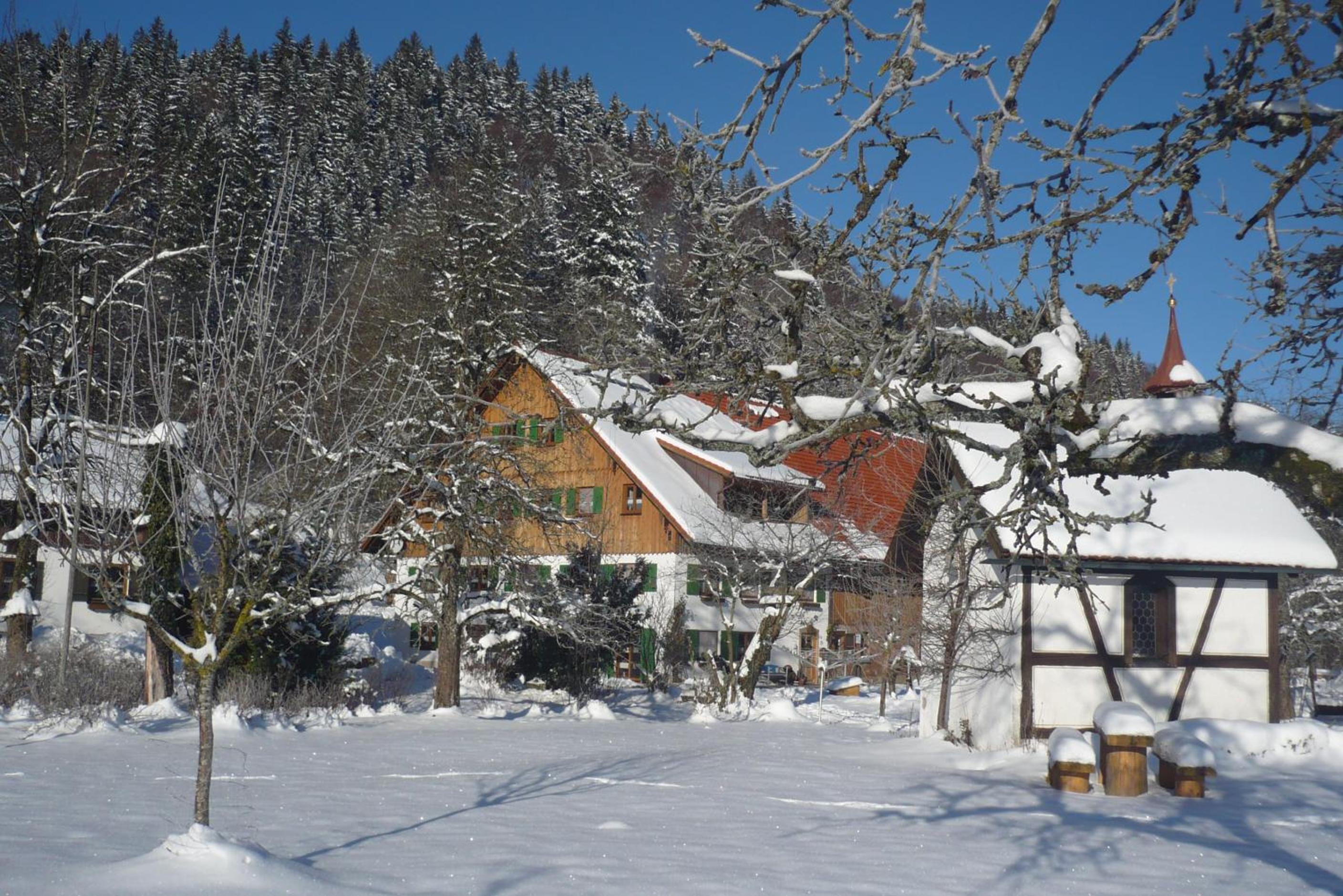 Photo 15