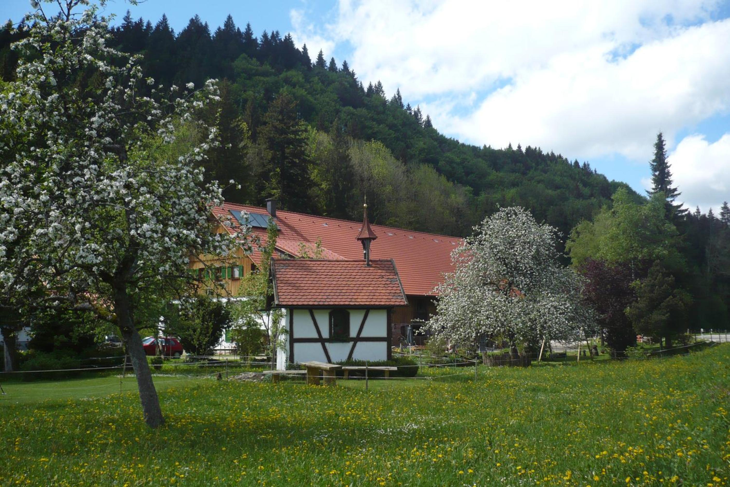 Photo 13