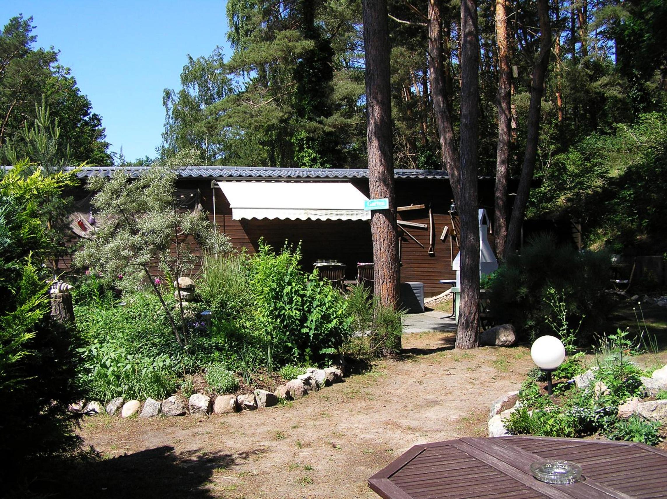Photo 19
