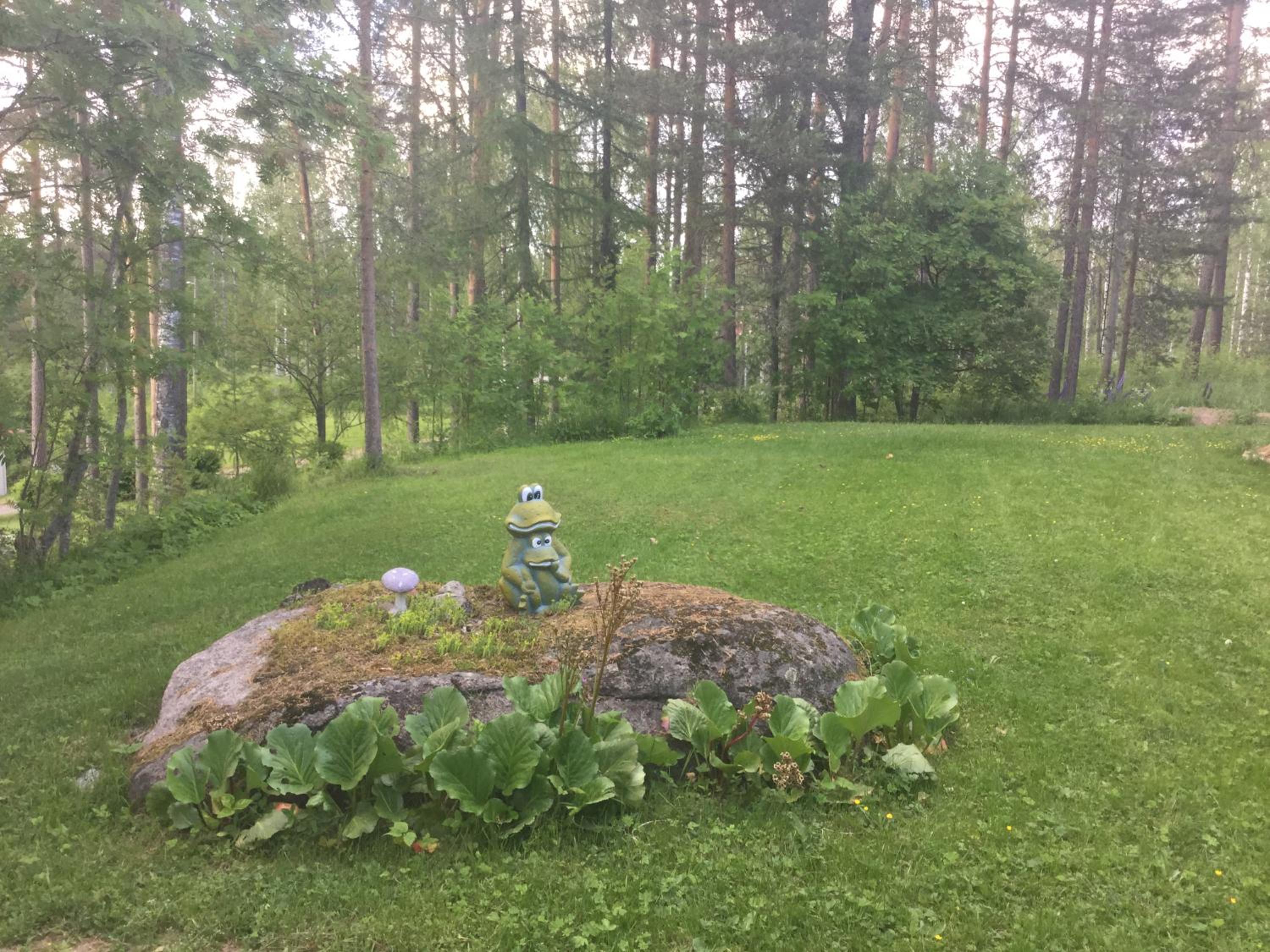 Photo 28