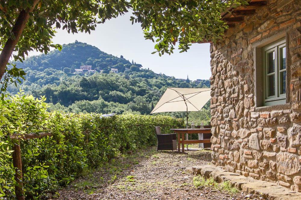 La Volpe - Chianti ,Tuscany country home