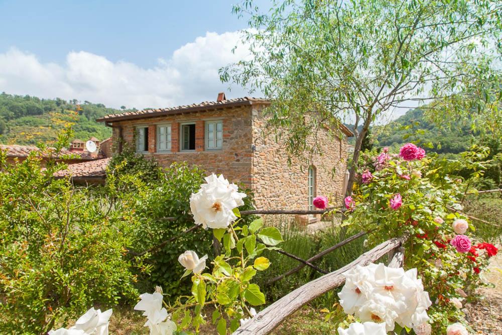 La Volpe - Chianti ,Tuscany country home