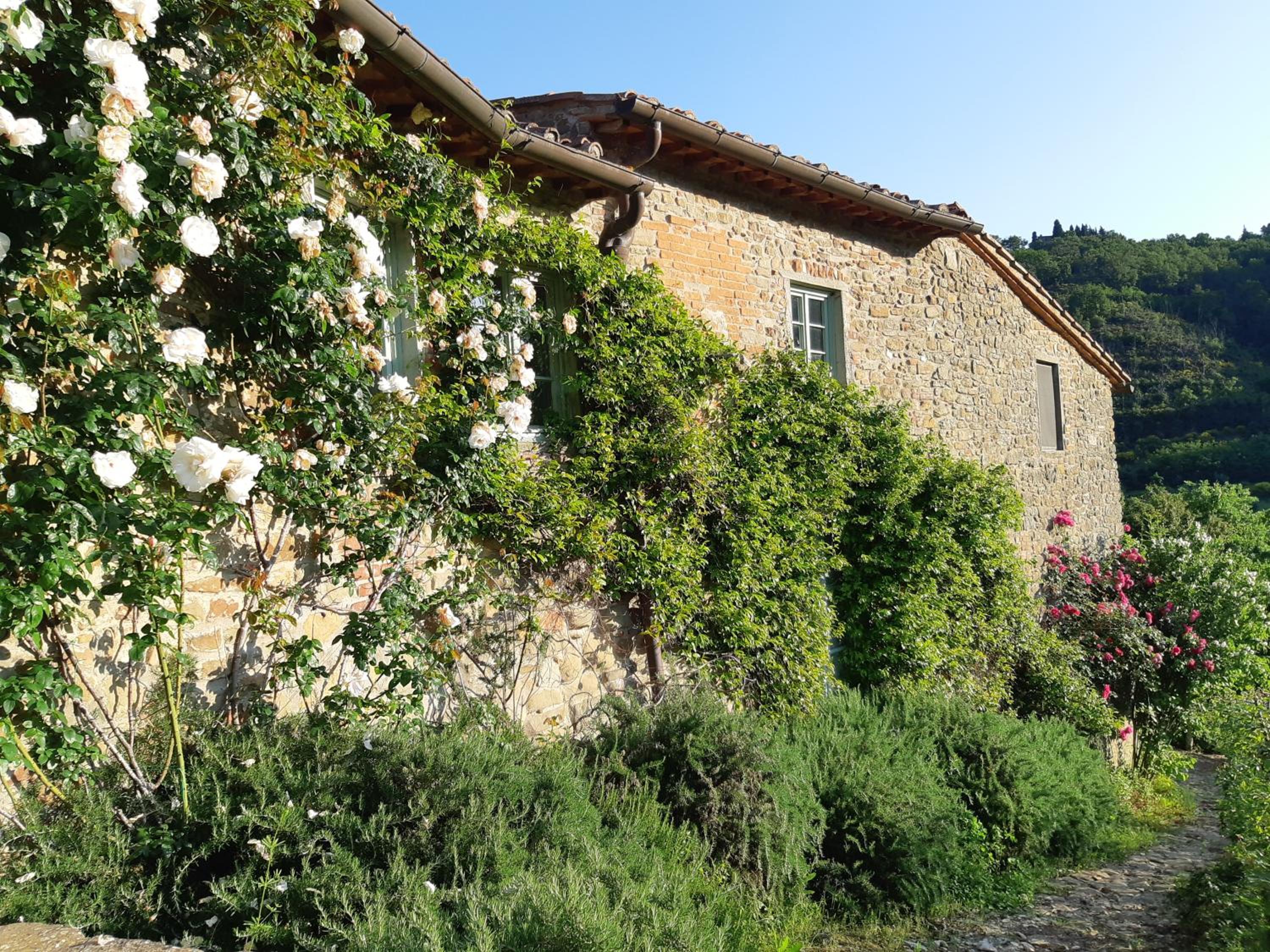 La Volpe - Chianti ,Tuscany country home