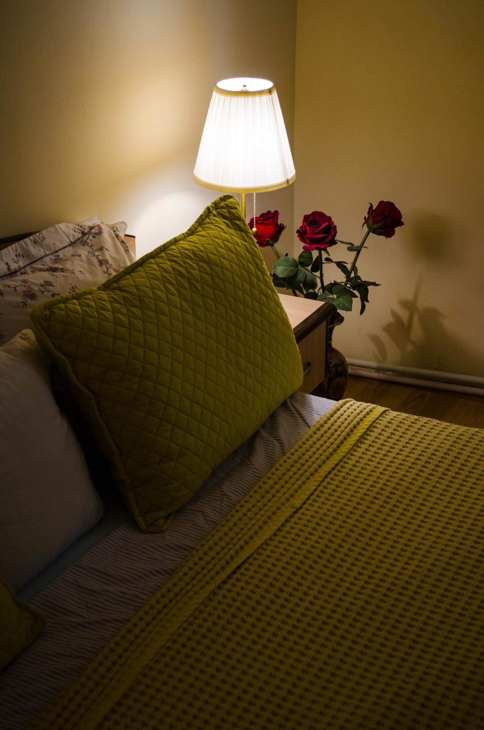 Collosal Apartment with Garden view 5