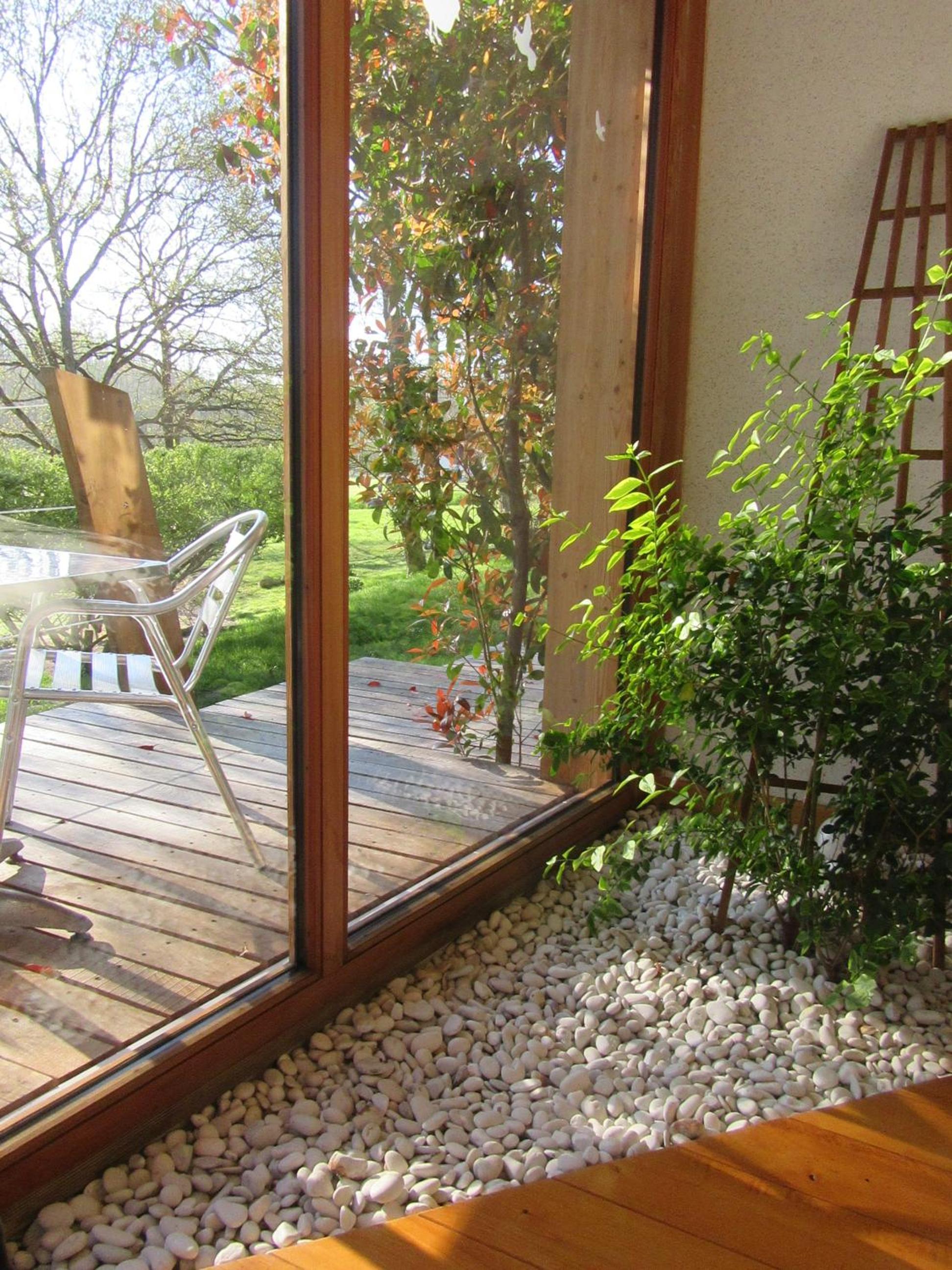 D'une Autre Nature view 2