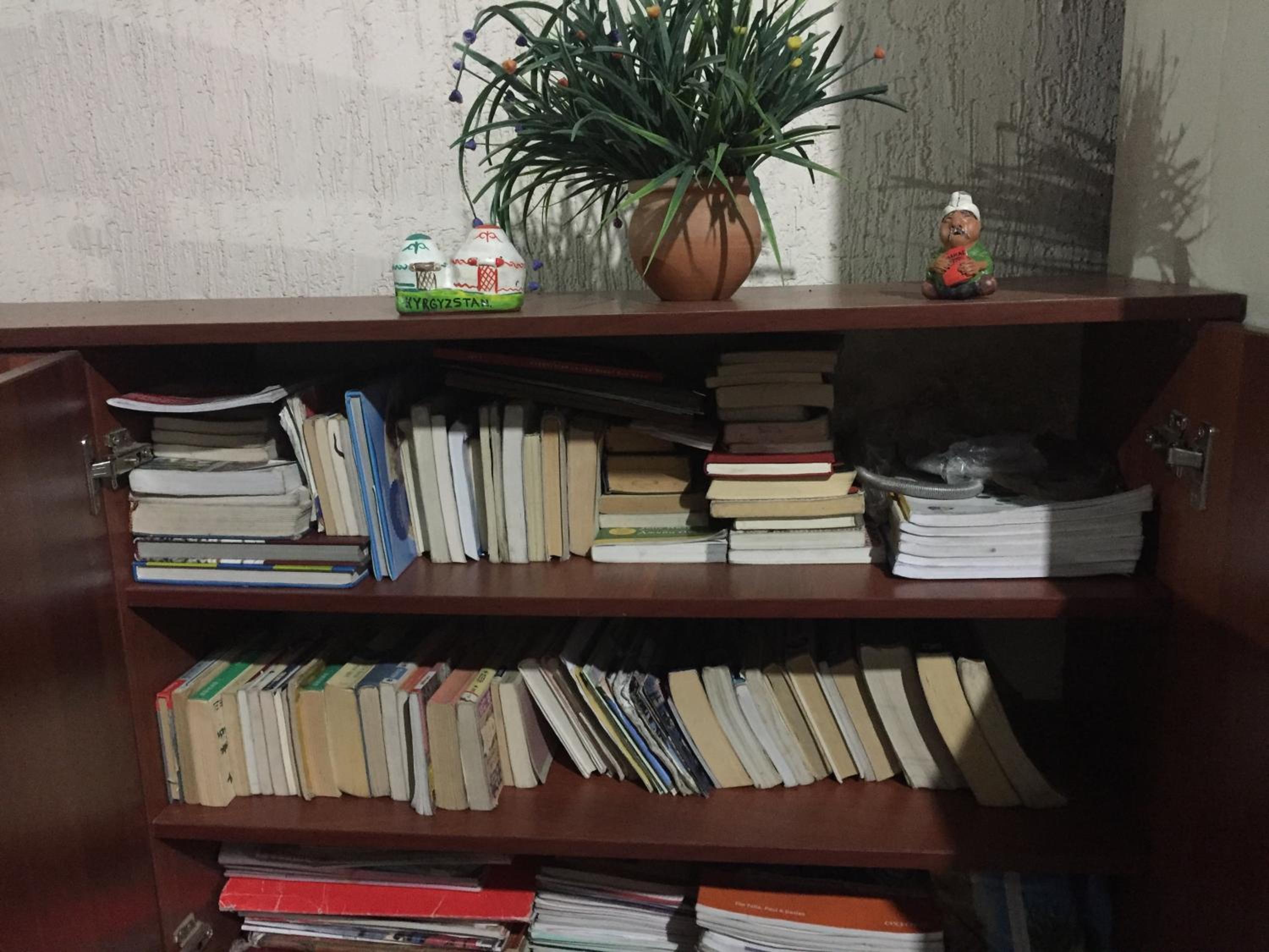 Photo 8