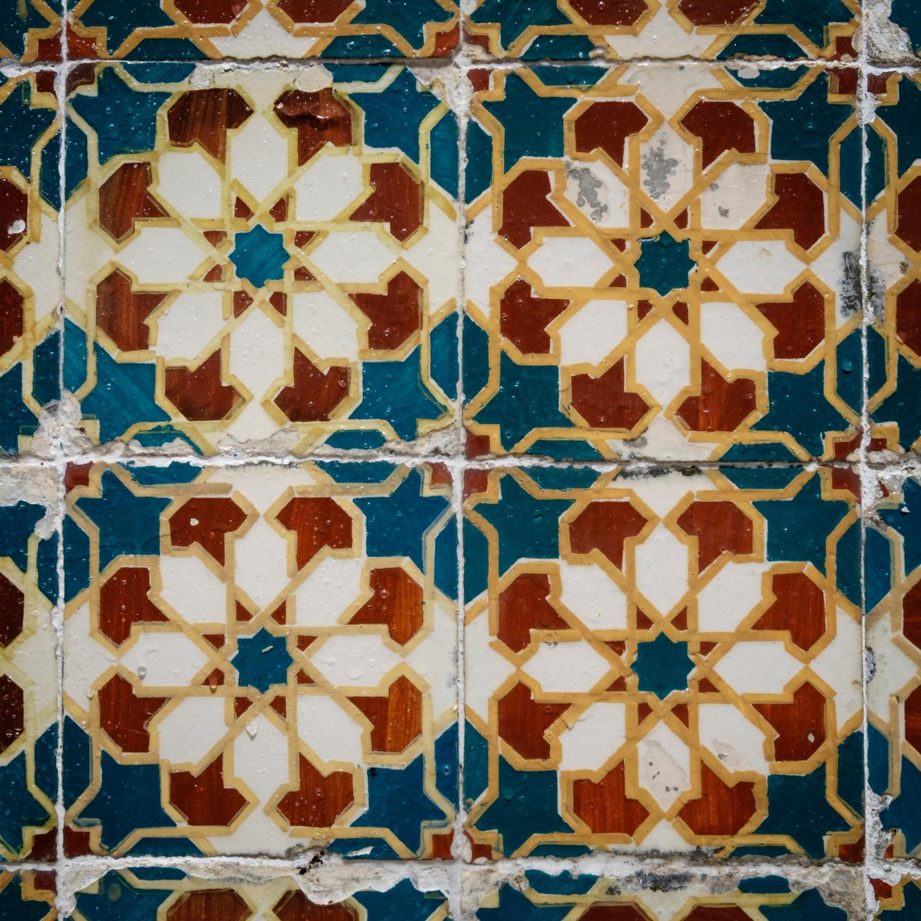 Photo 42
